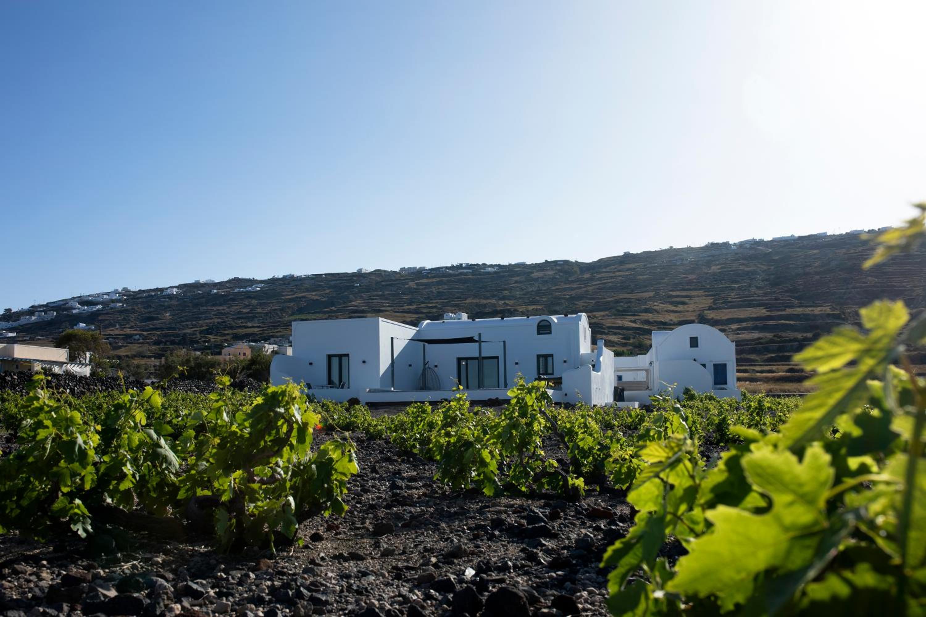 Vinebranch Villa
