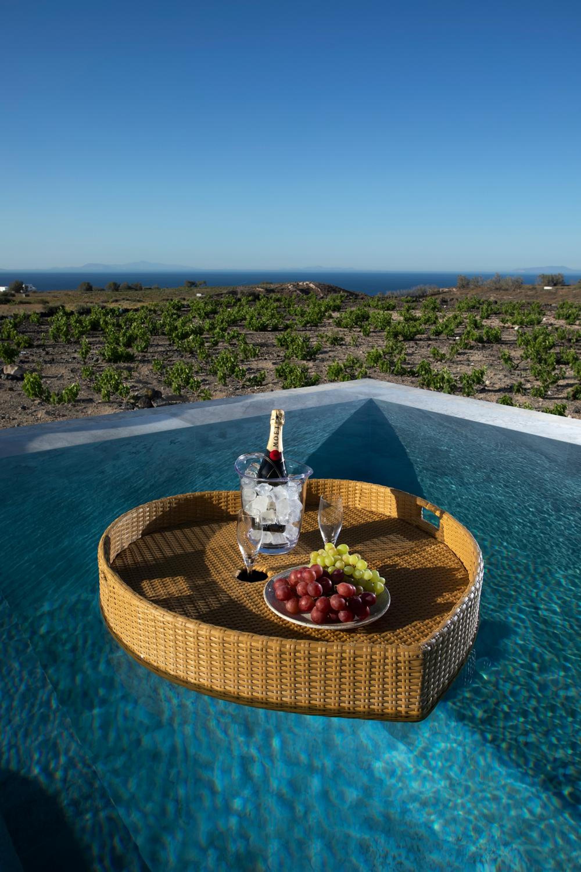 Vinebranch Villa