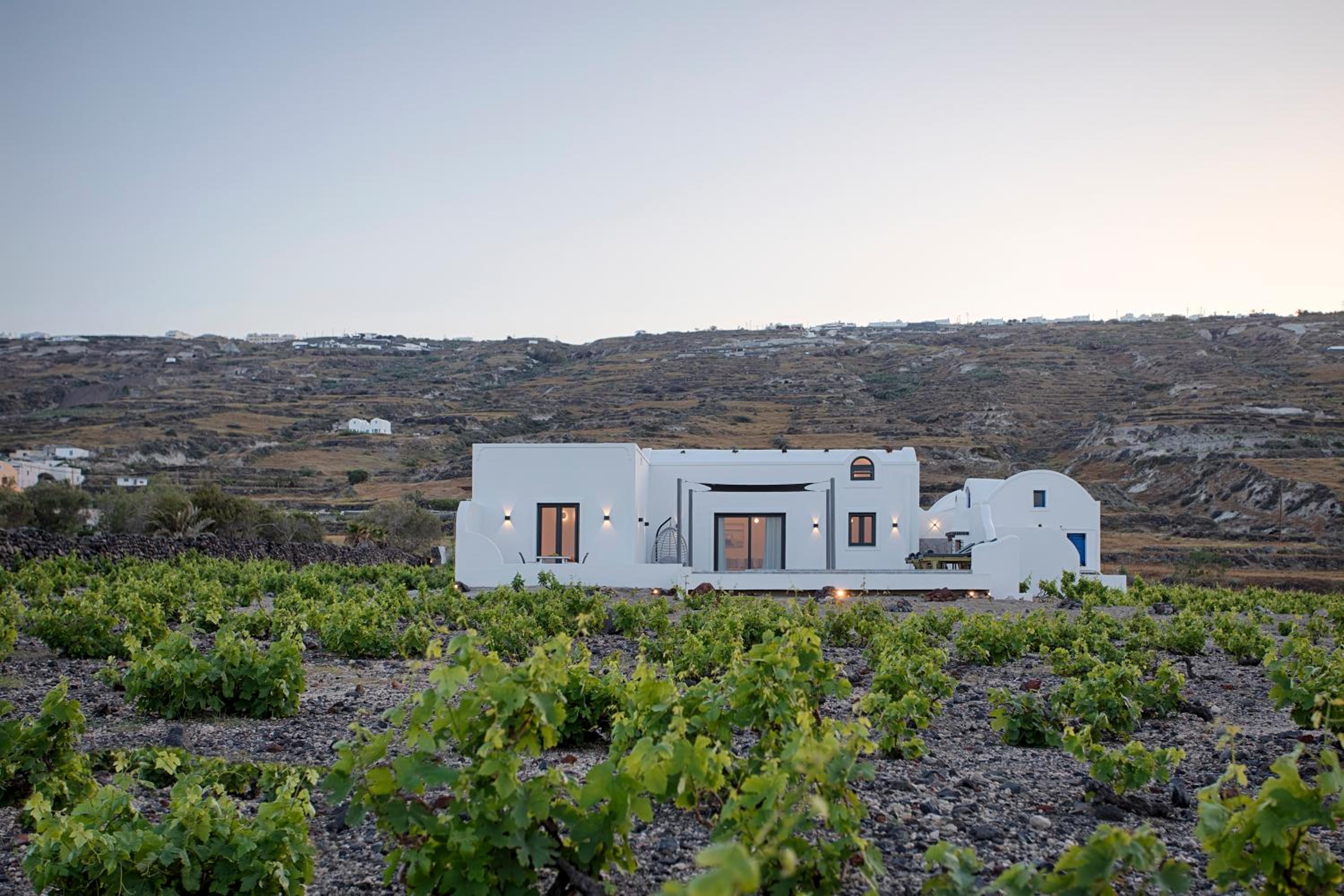 Vinebranch Villa