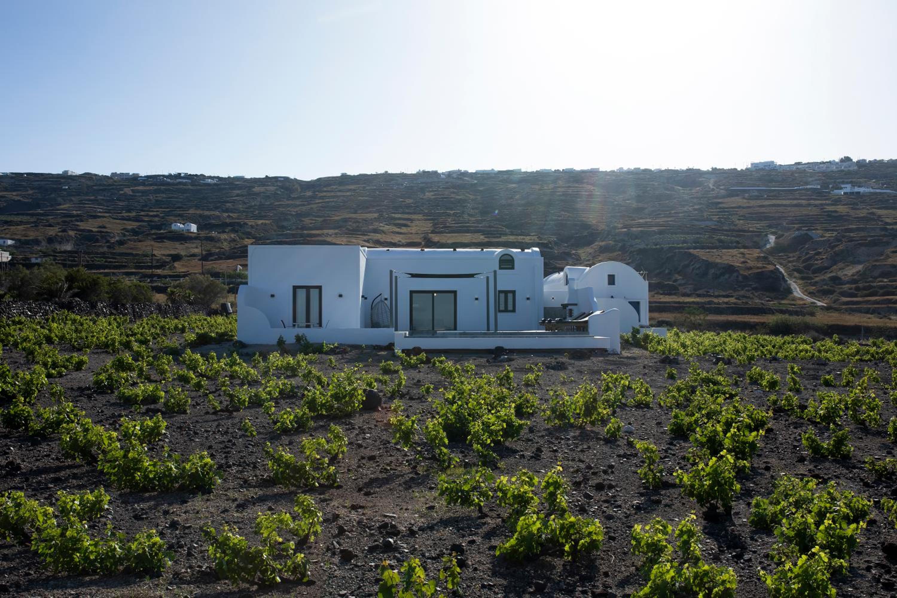 Vinebranch Villa