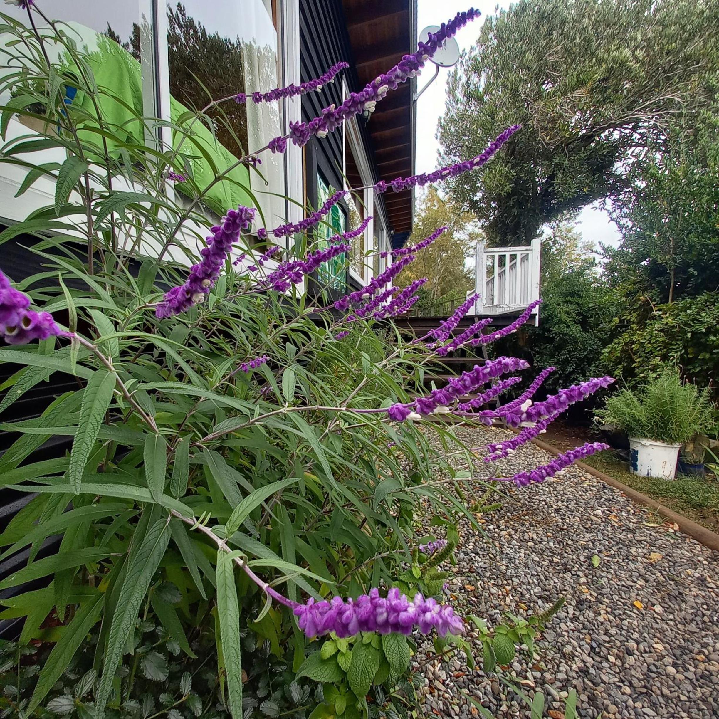 ESTANCIA LOS BOLDOS