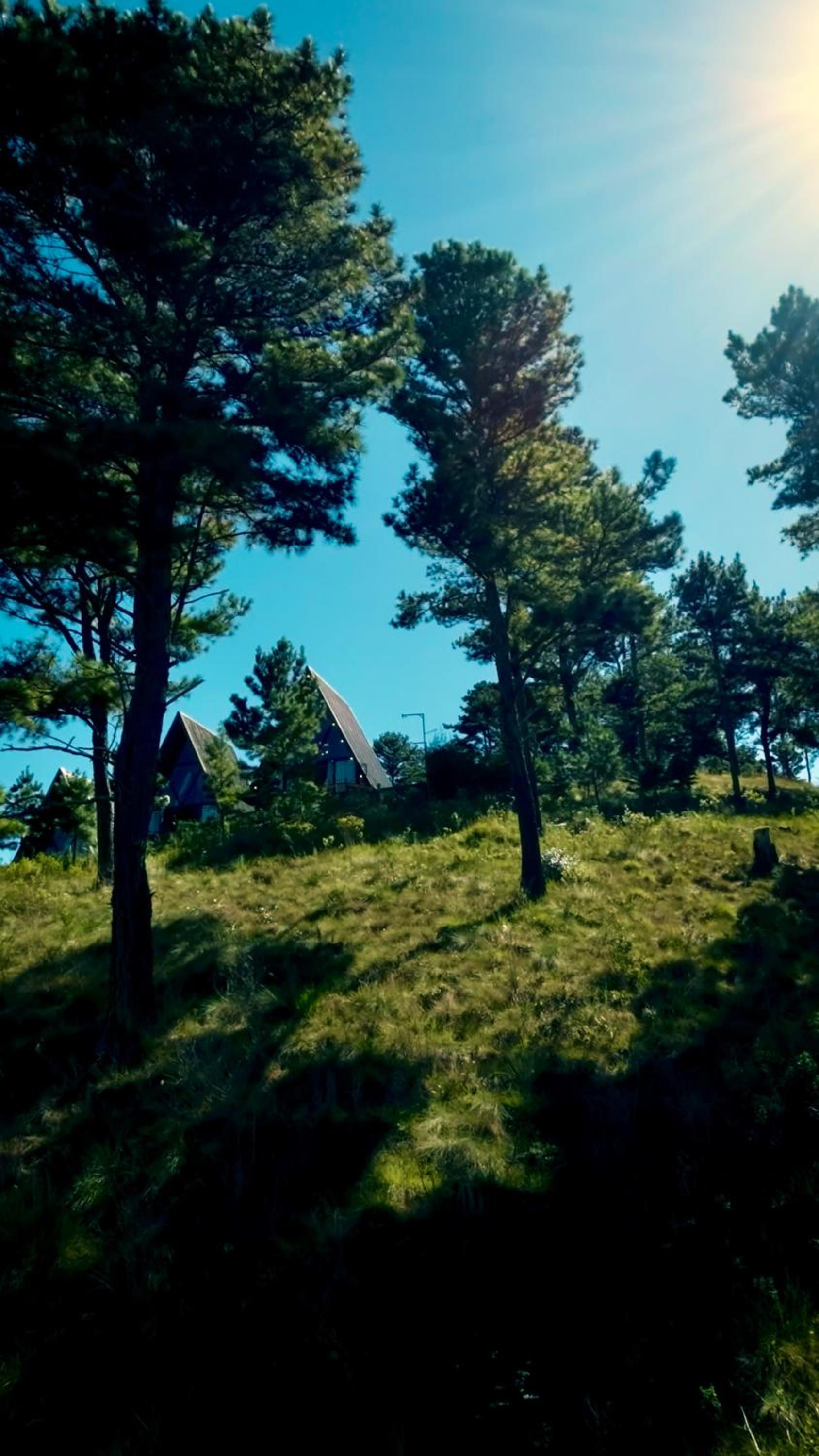Chalés de Luxo Monte Lorobell A-Frame