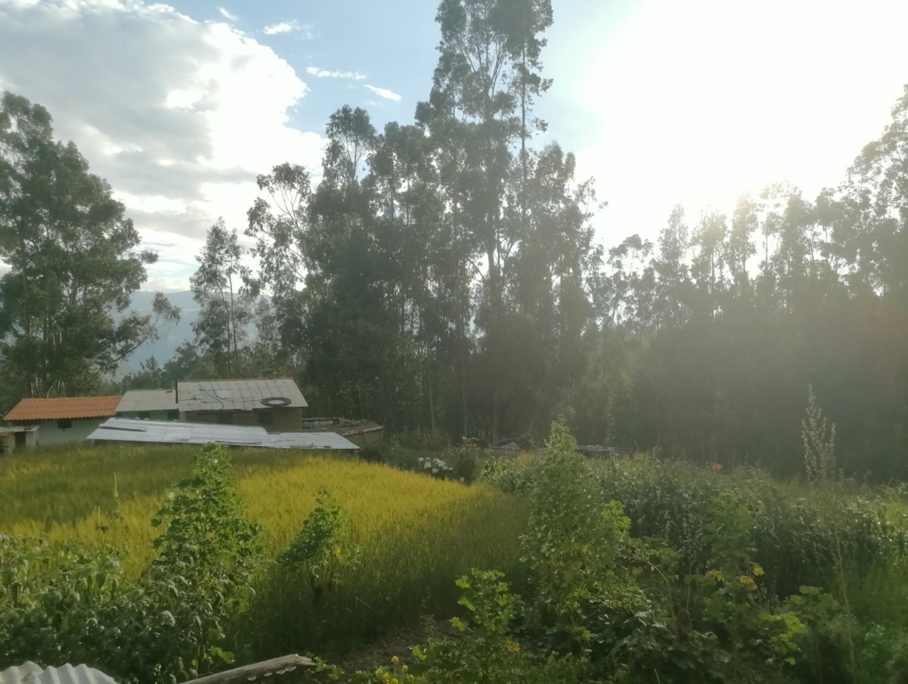 Pitec Hostel Lodge view 3