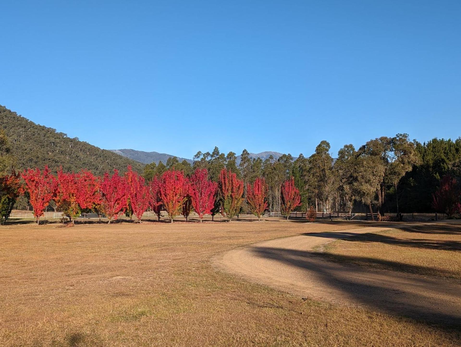 Feathertop Views and Barn