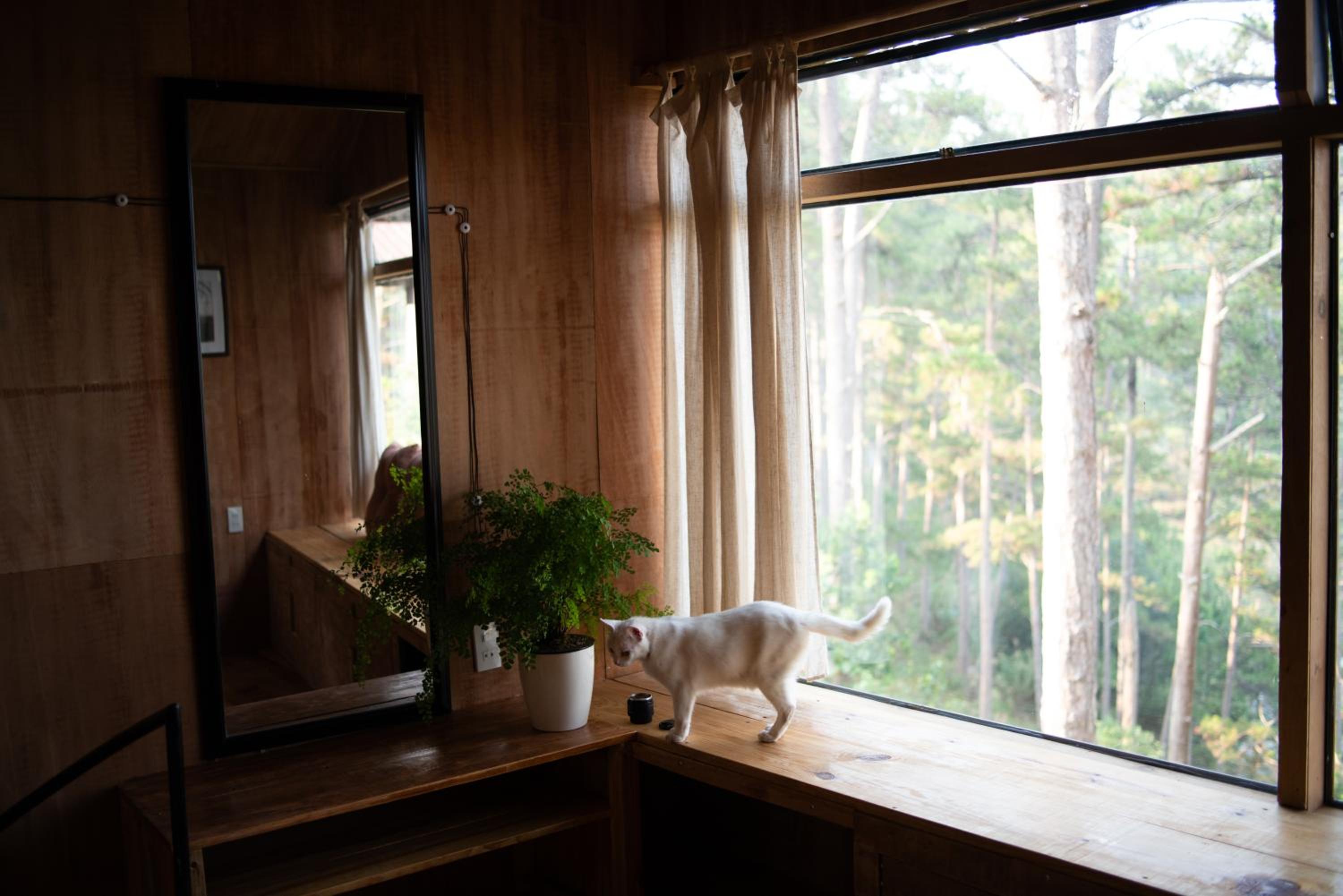 Eldersleep Dalat