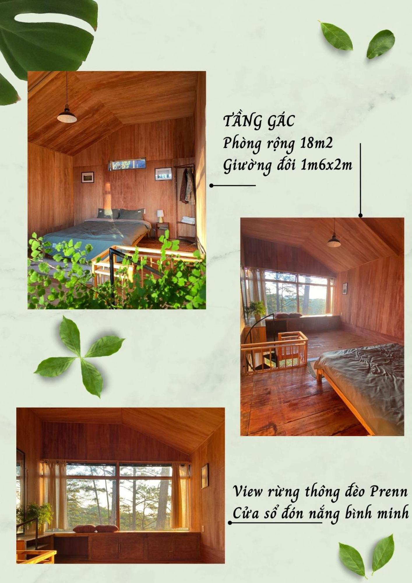Eldersleep Dalat
