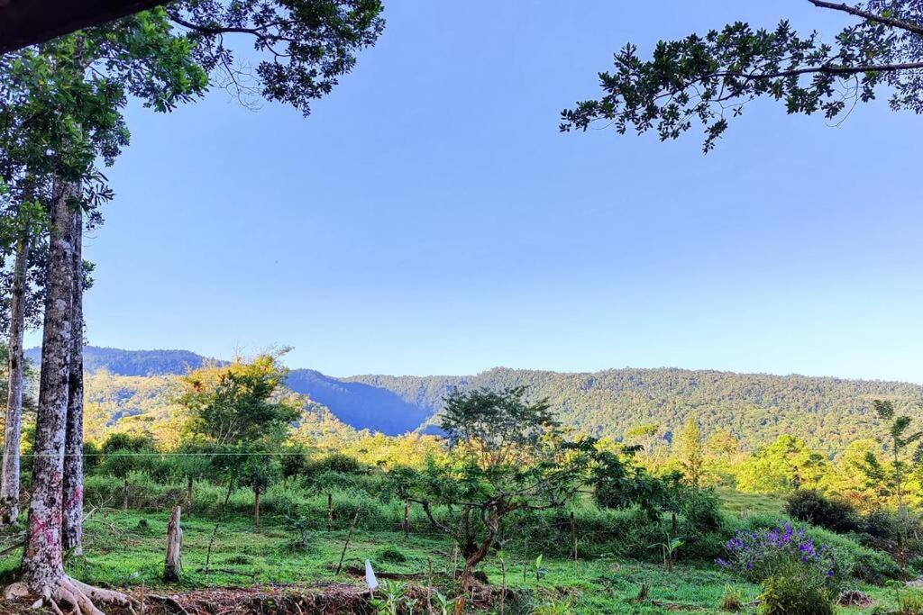 Casa Arthémis - Rainforest Lodge
