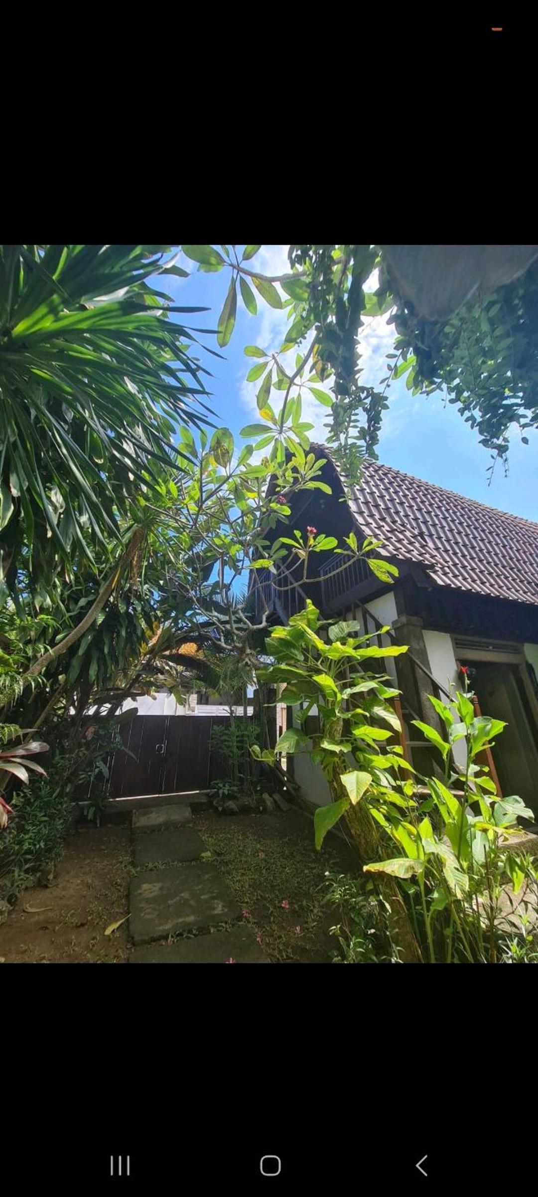 One Love Homestay view 5