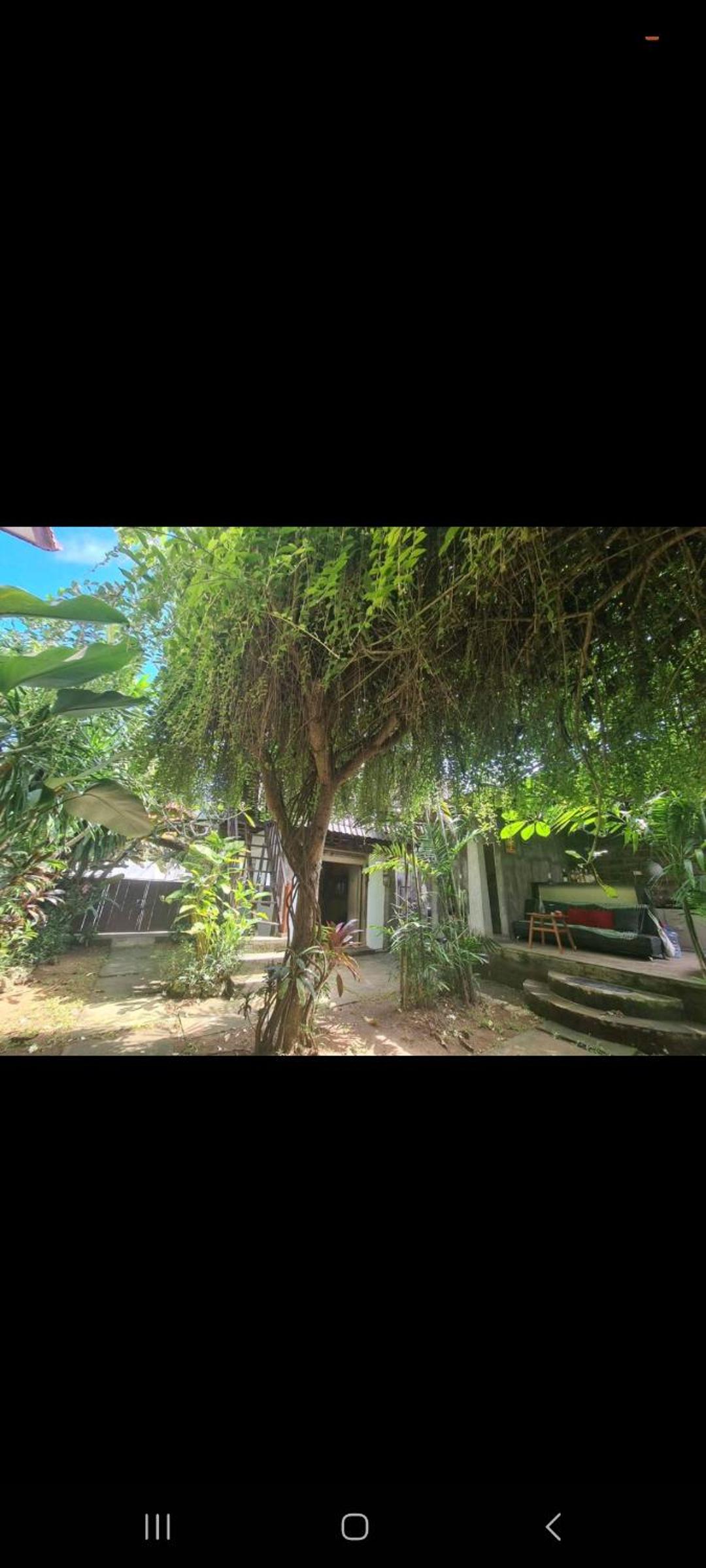One Love Homestay view 2