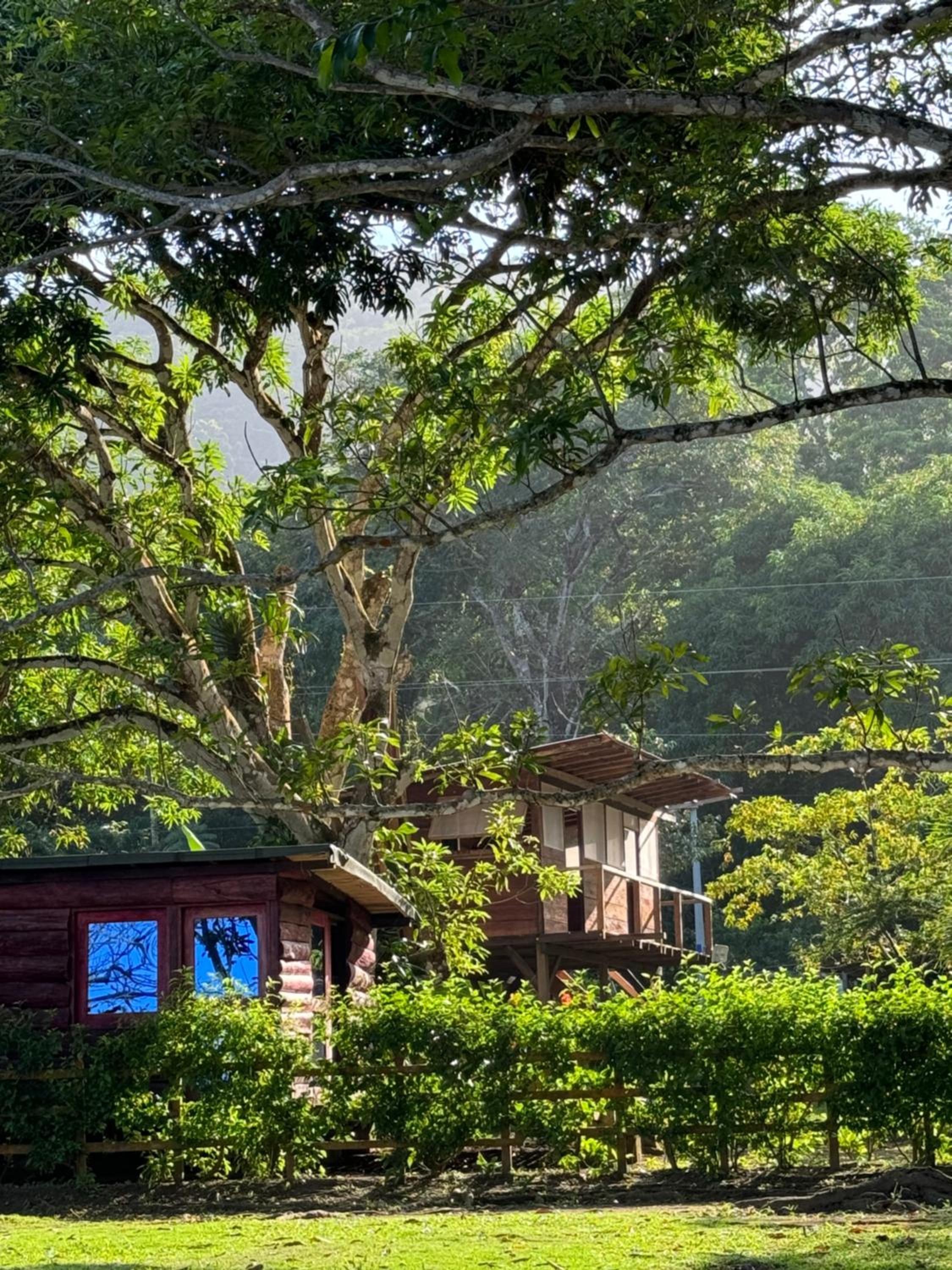 Casa Alma