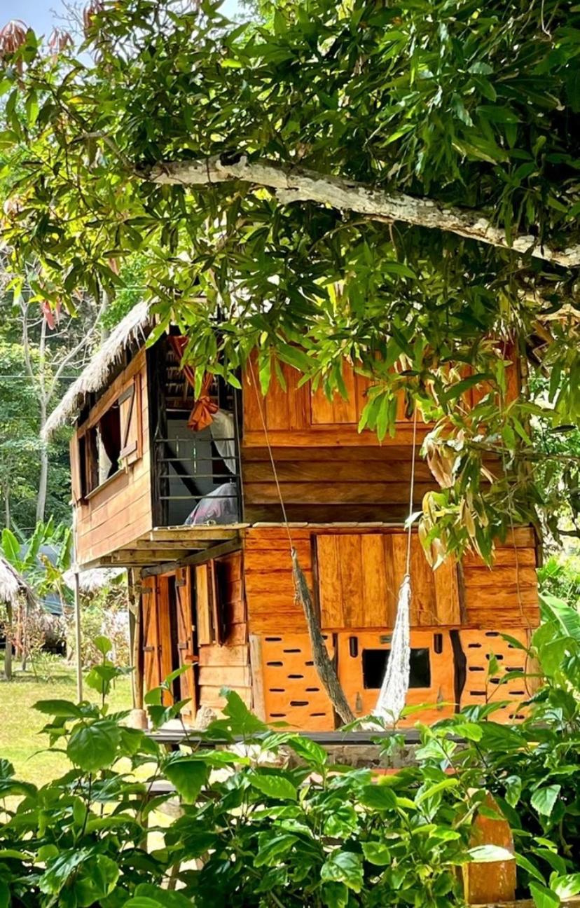Casa Alma