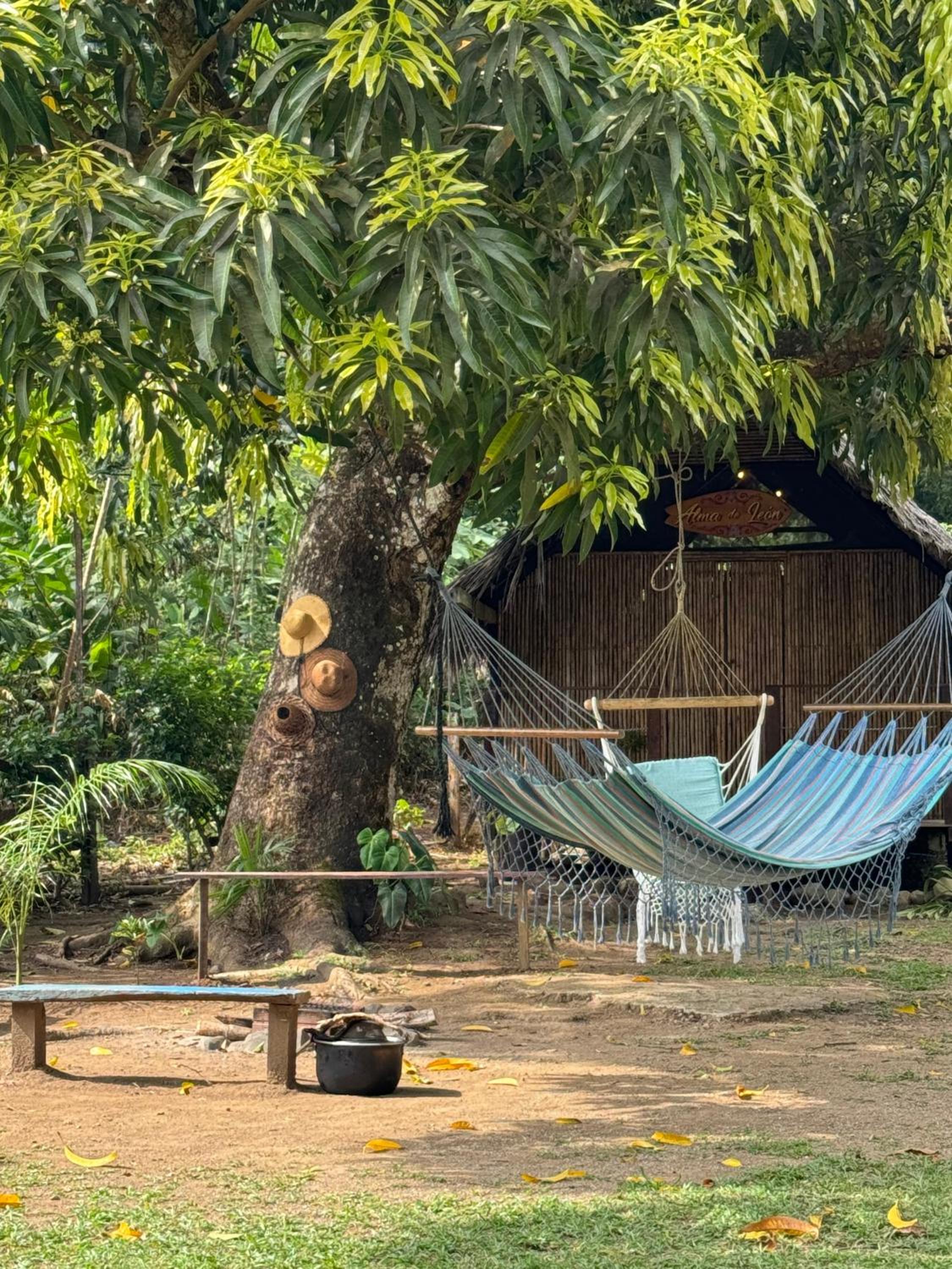 Casa Alma