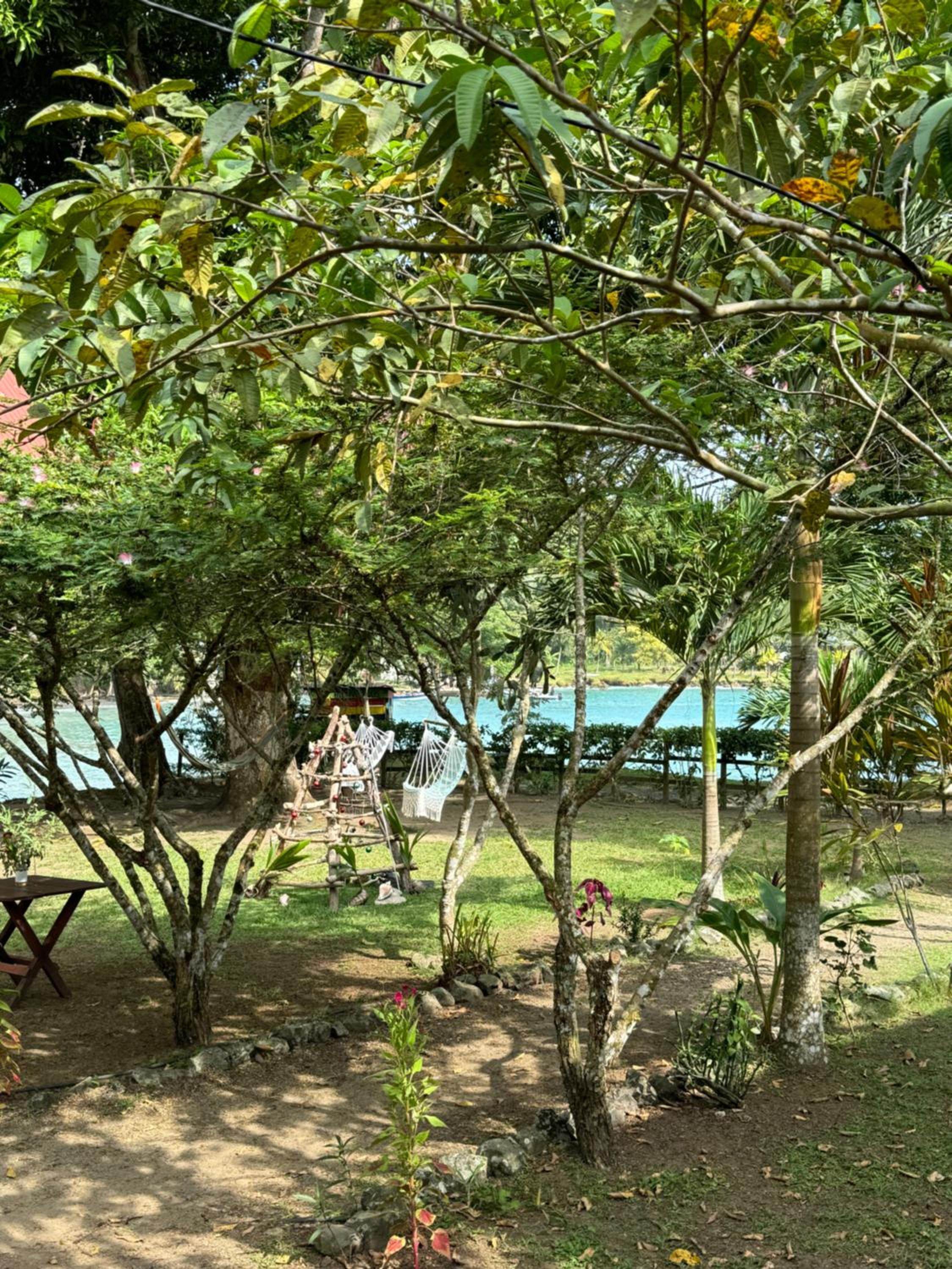 Casa Alma