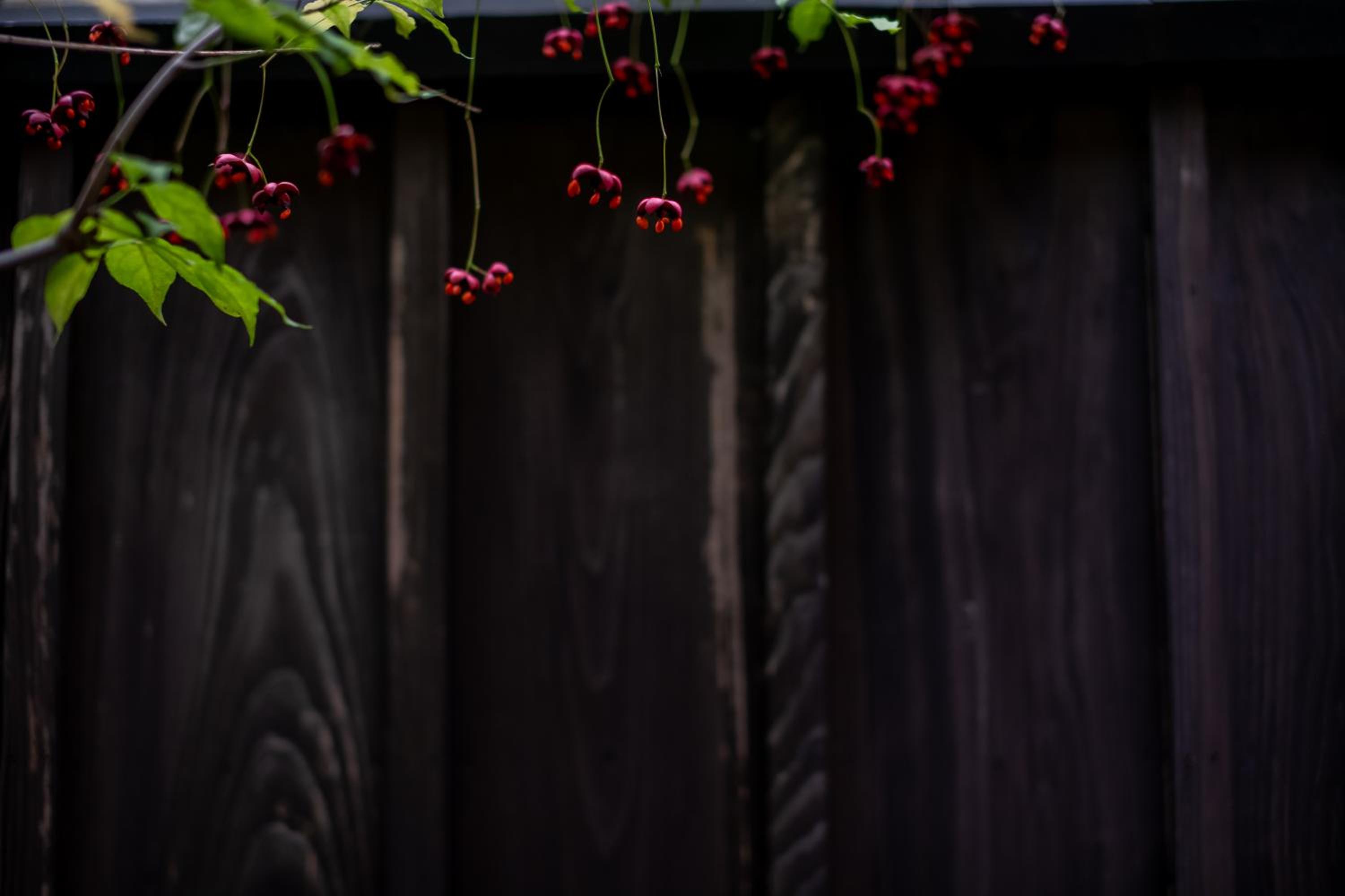 MACHIYA:SAUNA KYOTO 19