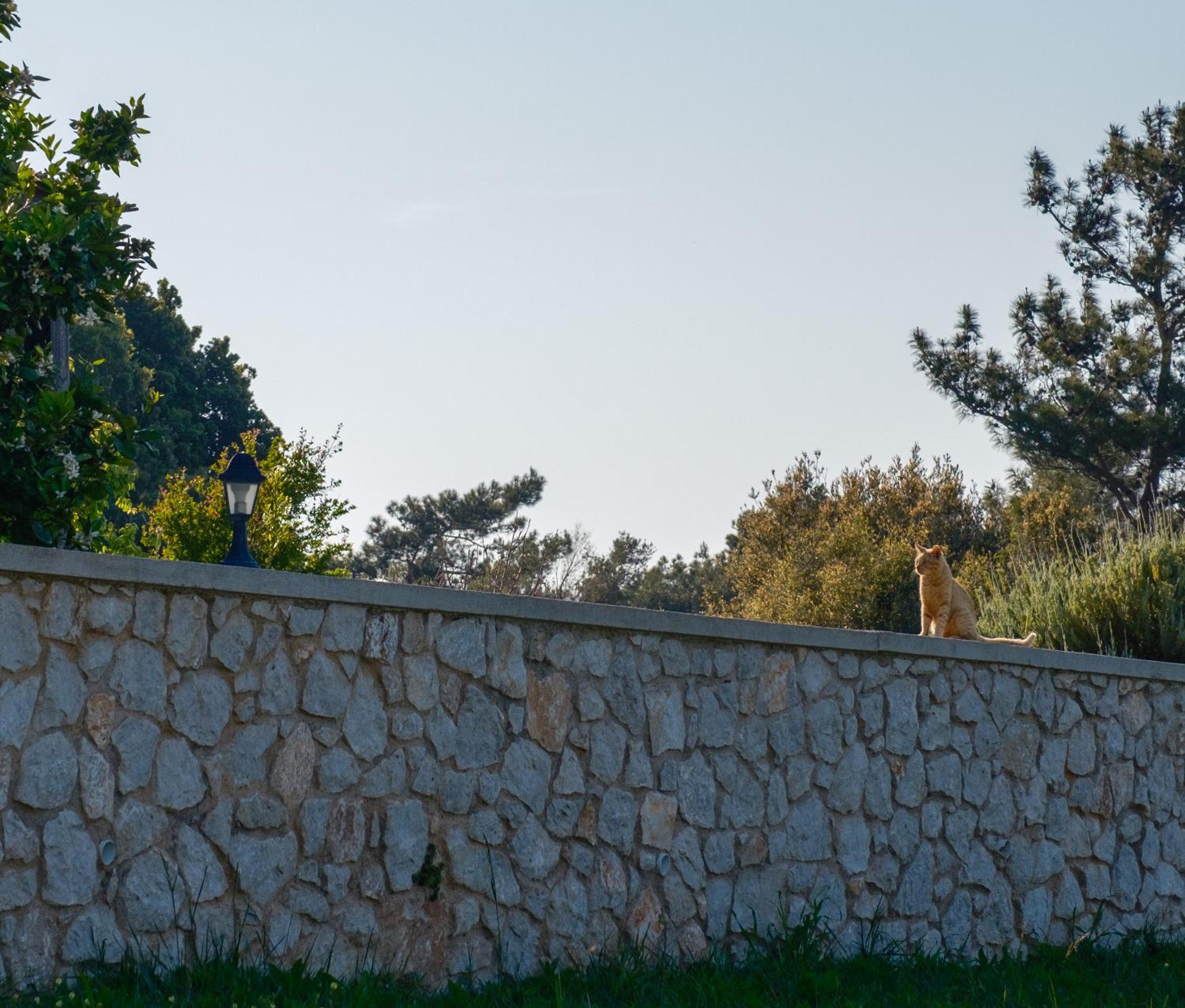 Salagro Seaview Villas Salakos
