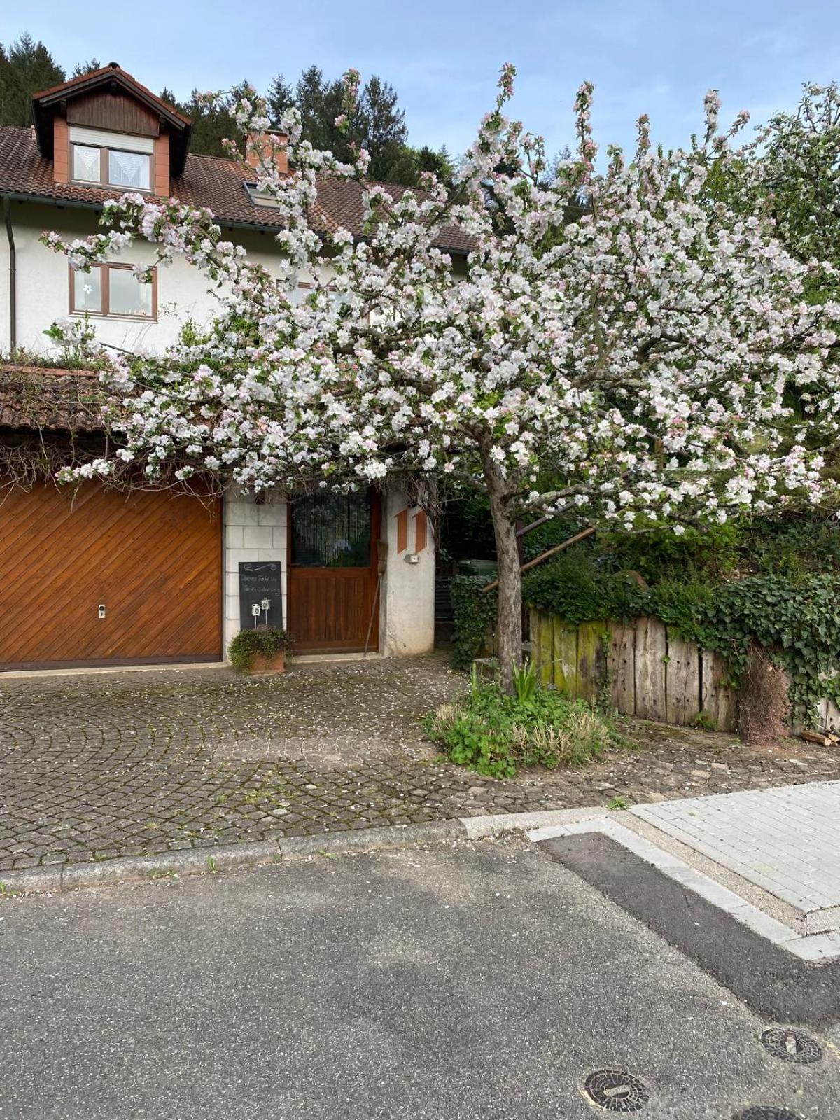 Haus Sonnengarten