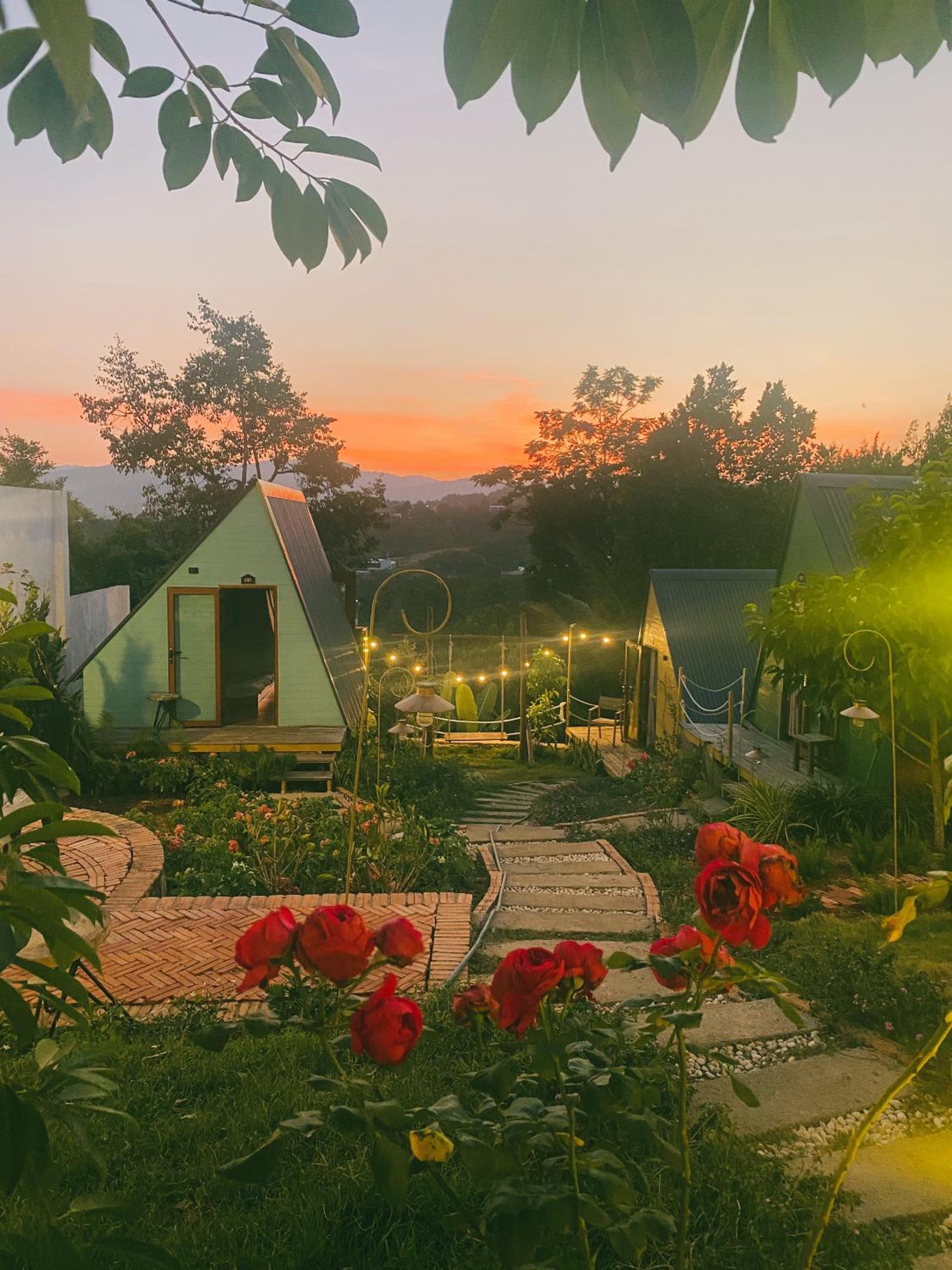 Dứa Homestay view 3