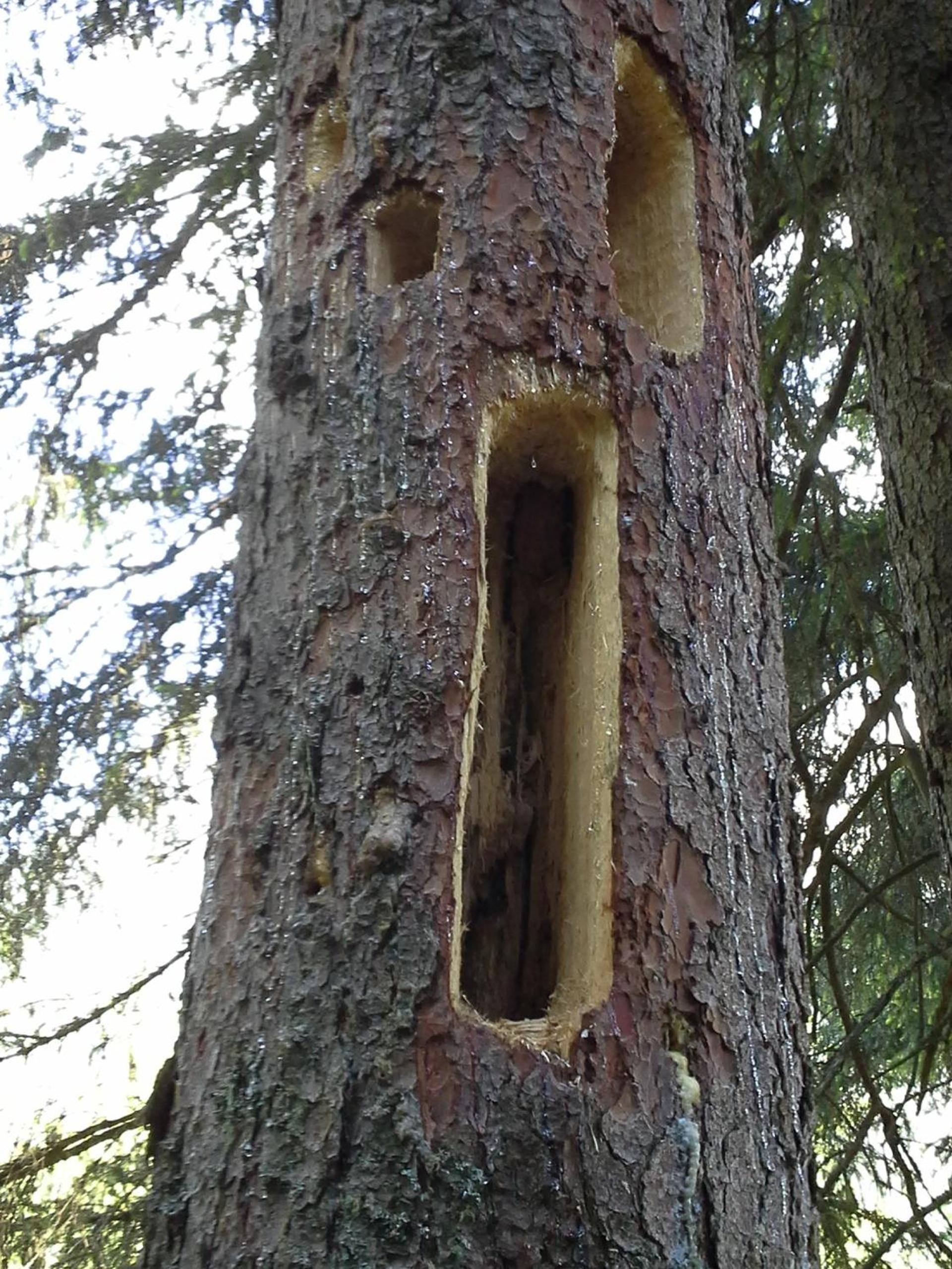Appartement Ewald Siller