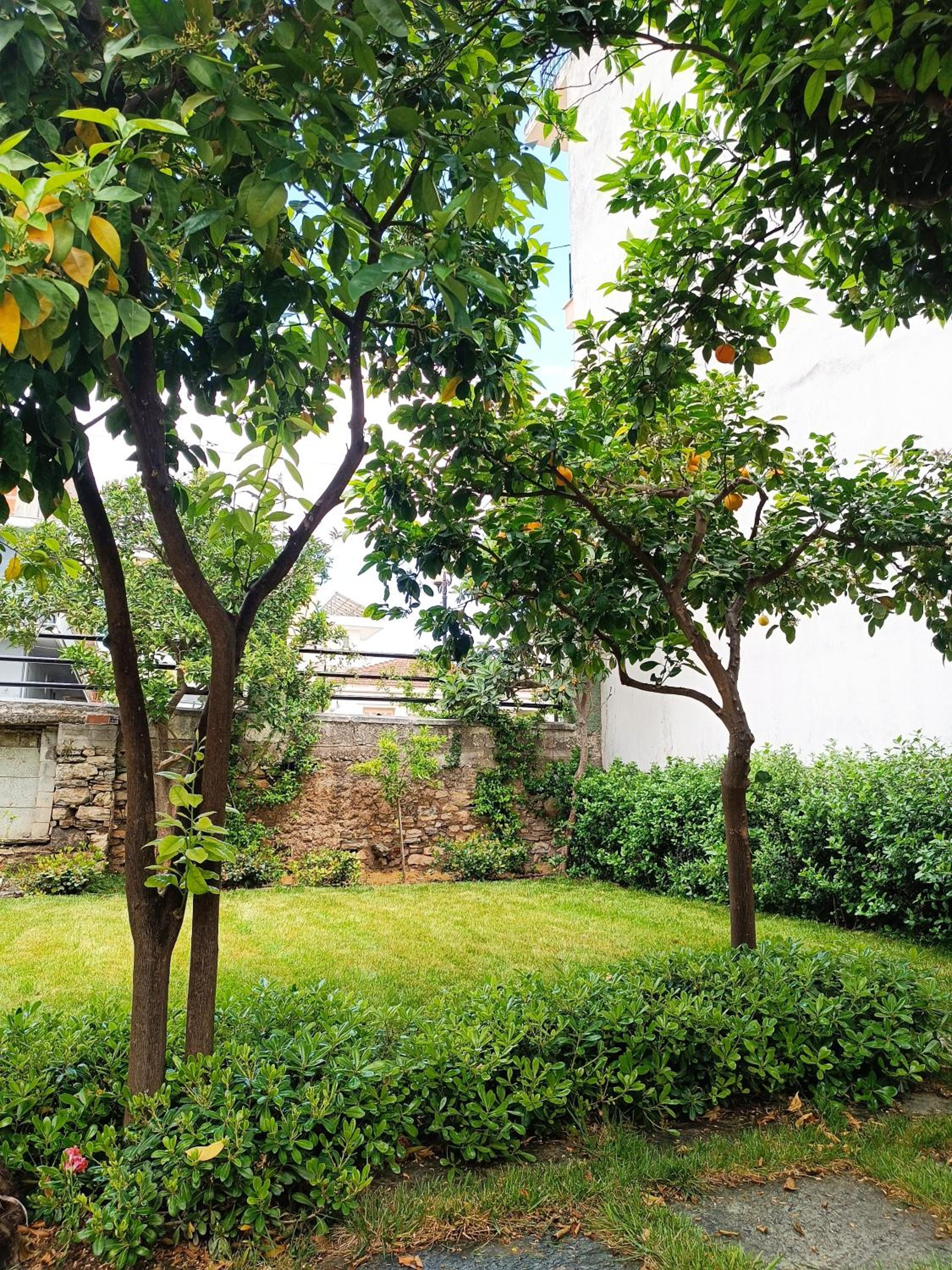 Betty's Garden House view 2