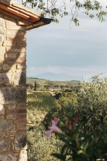 Wine Resort Campacci