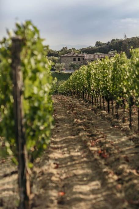 Wine Resort Campacci
