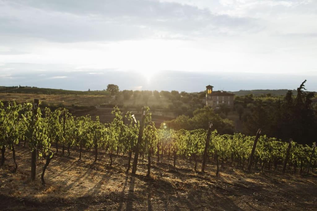 Wine Resort Campacci