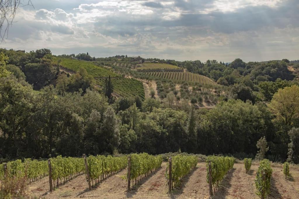 Wine Resort Campacci