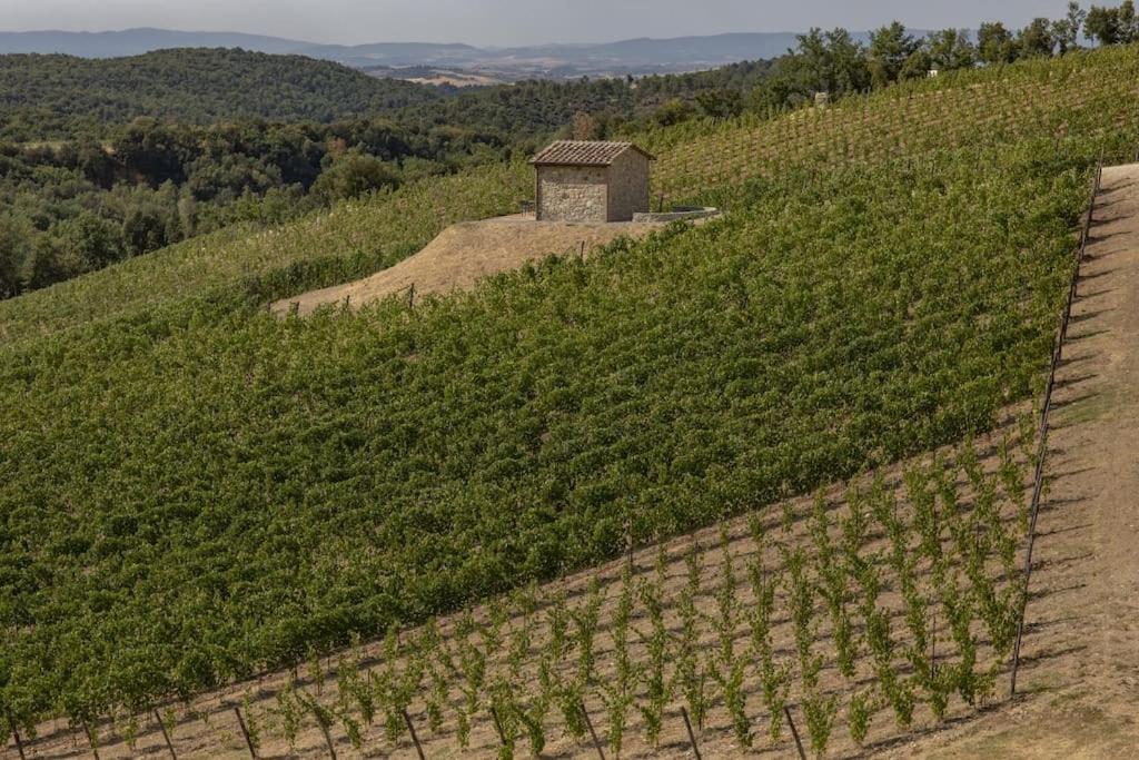 Wine Resort Campacci