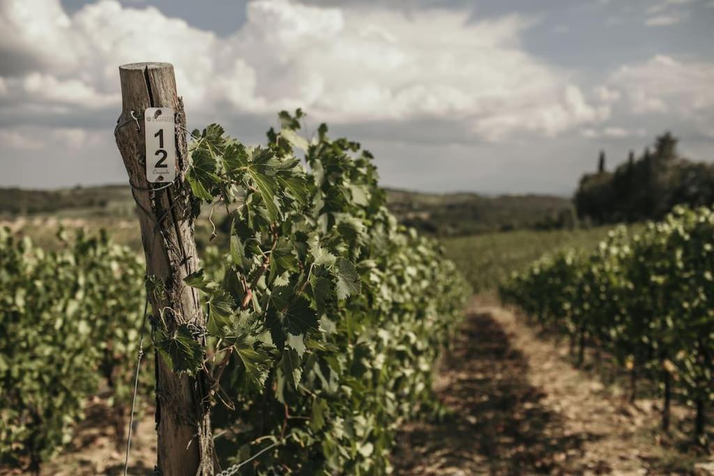 Wine Resort Campacci