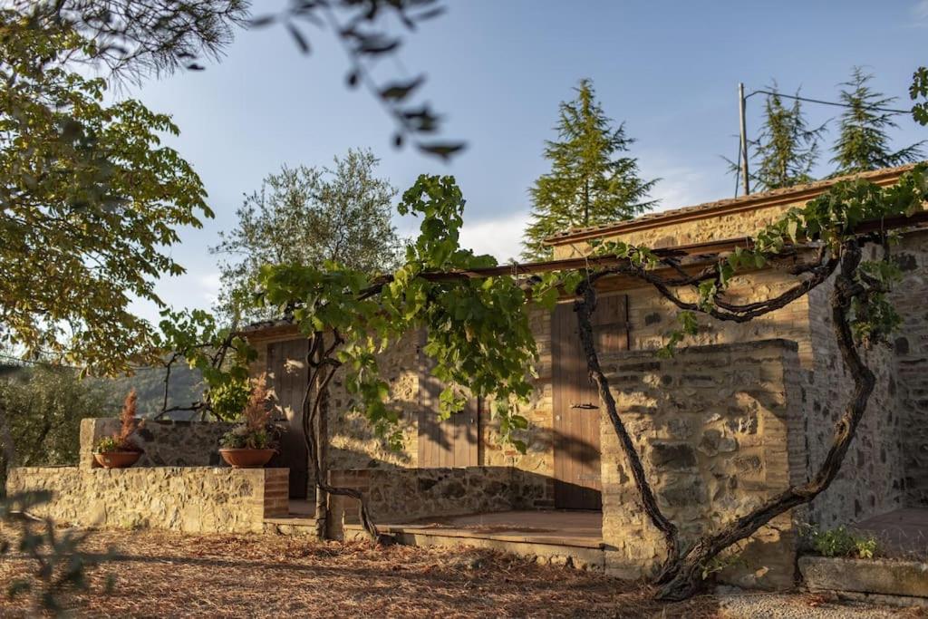 Wine Resort Campacci