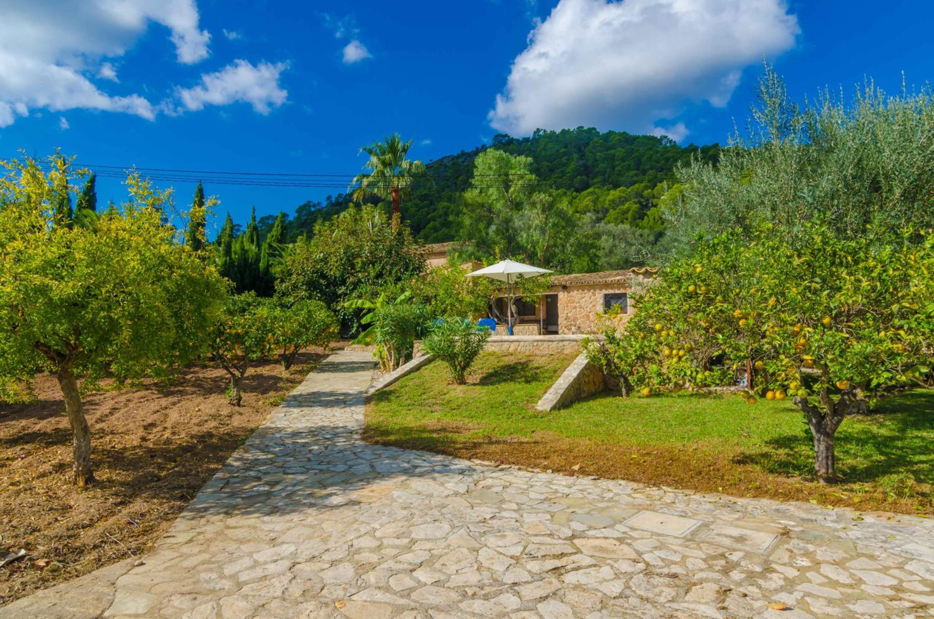 Casa Margarita