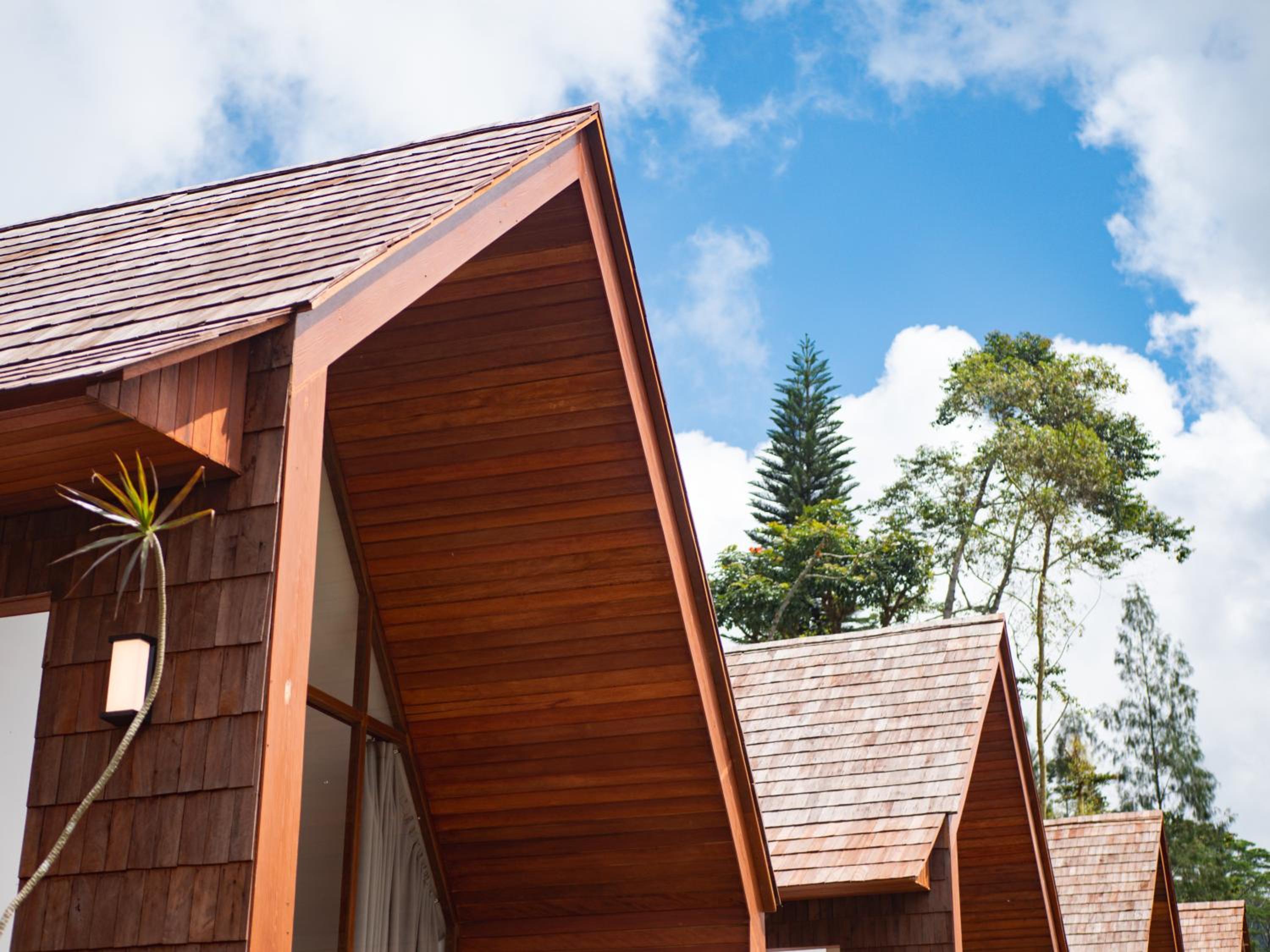 Catu Glamping Bedugul