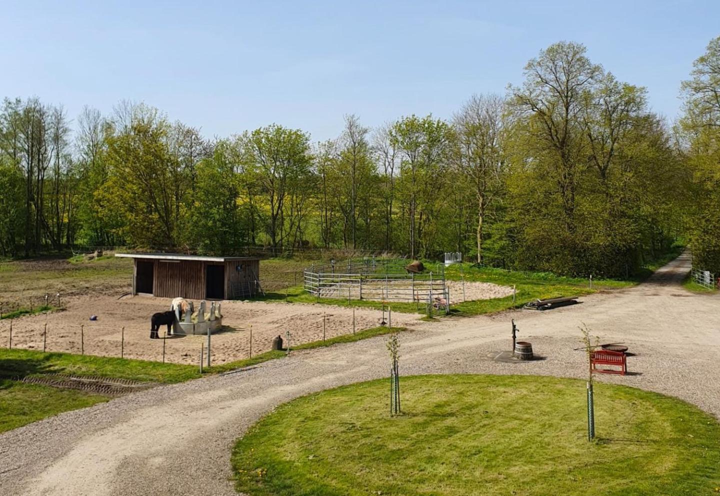 Ferienwohnung Gut Hardesby - großzügig mit Kamin & tollem Garten