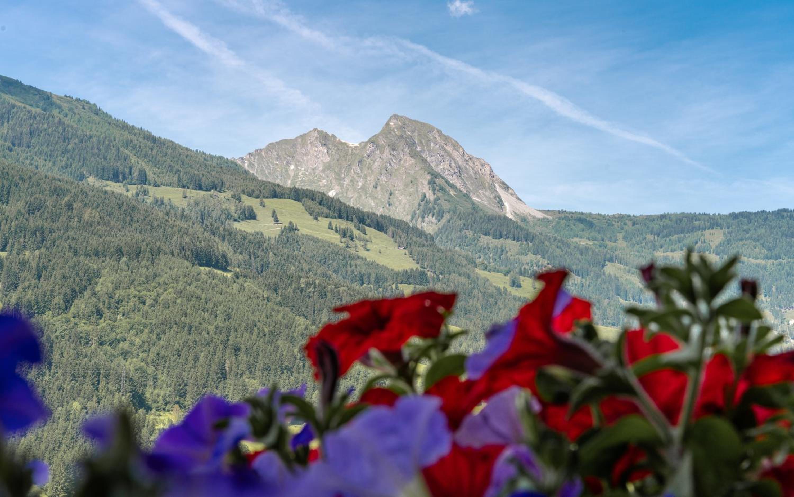 am mühlbach - einfach sein, mit Gemeinschaftsküche