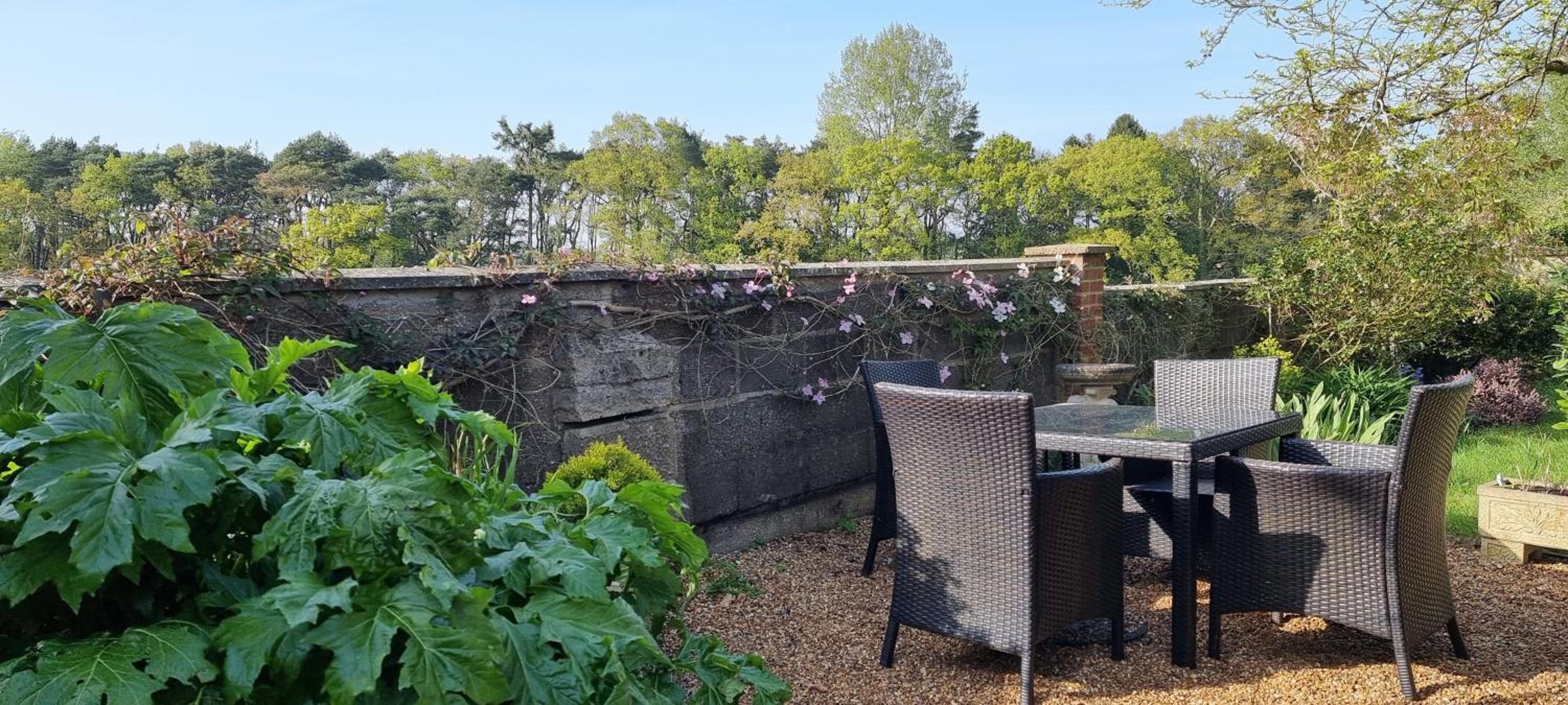 Begonia Cottage
