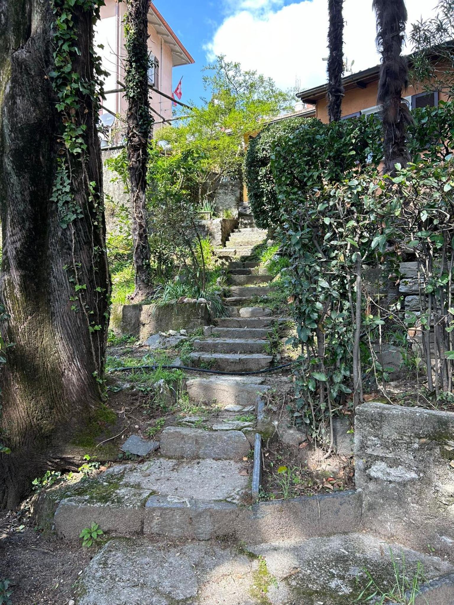 Photo 38