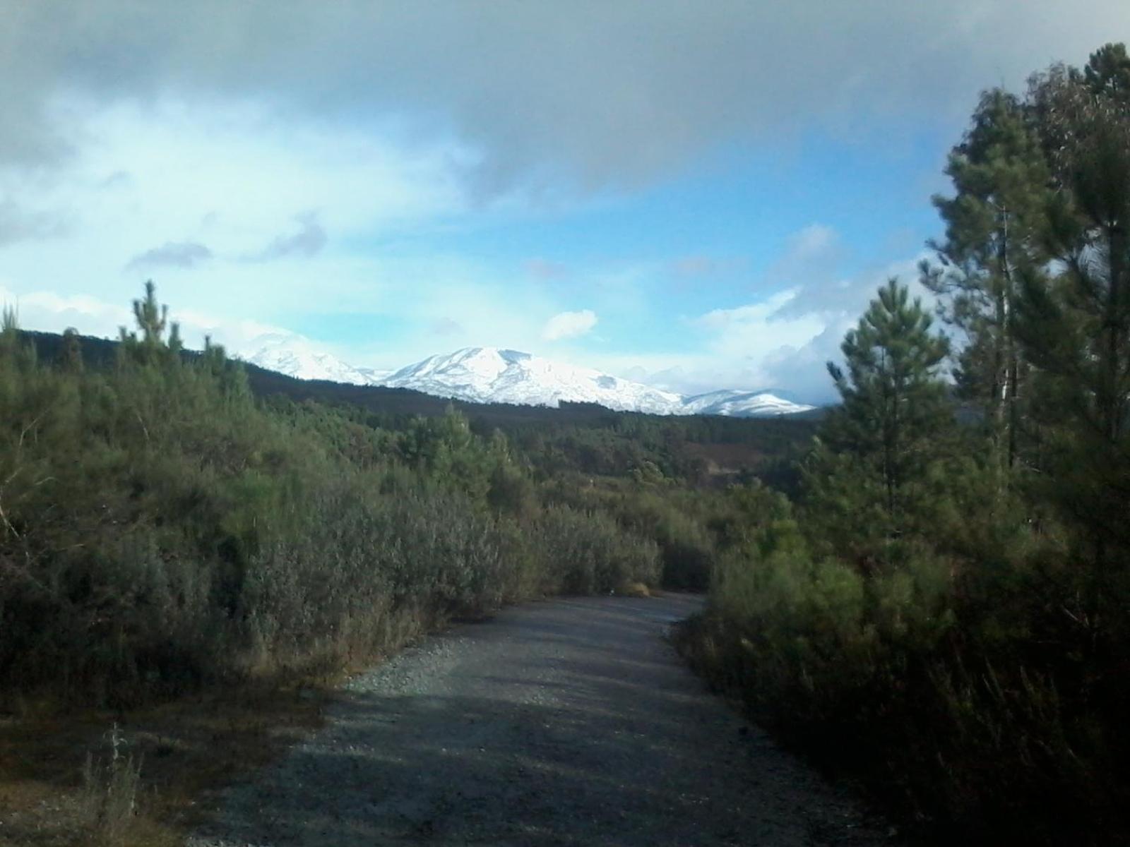 Photo 33