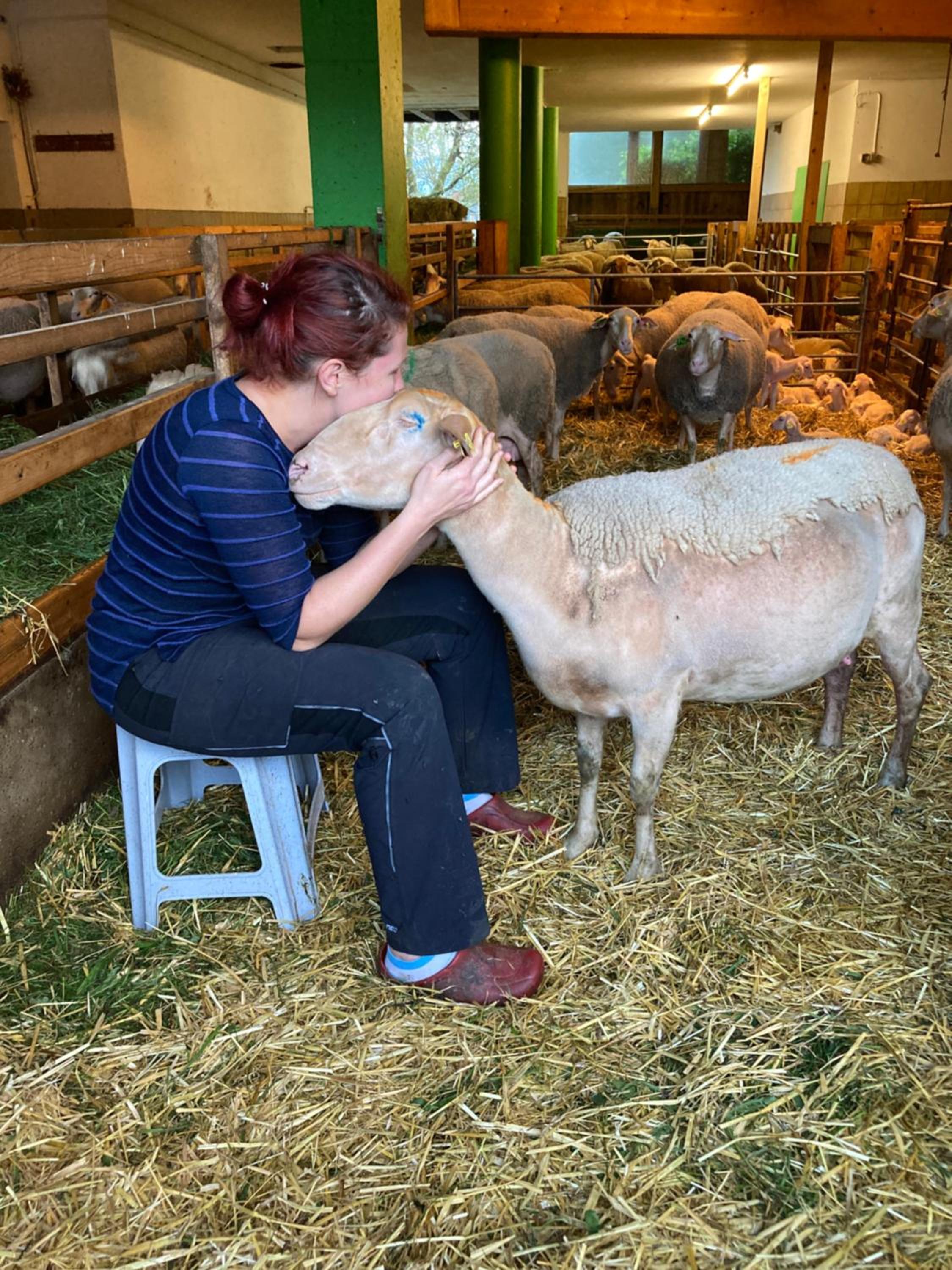 Nussbaumer am Irrsee