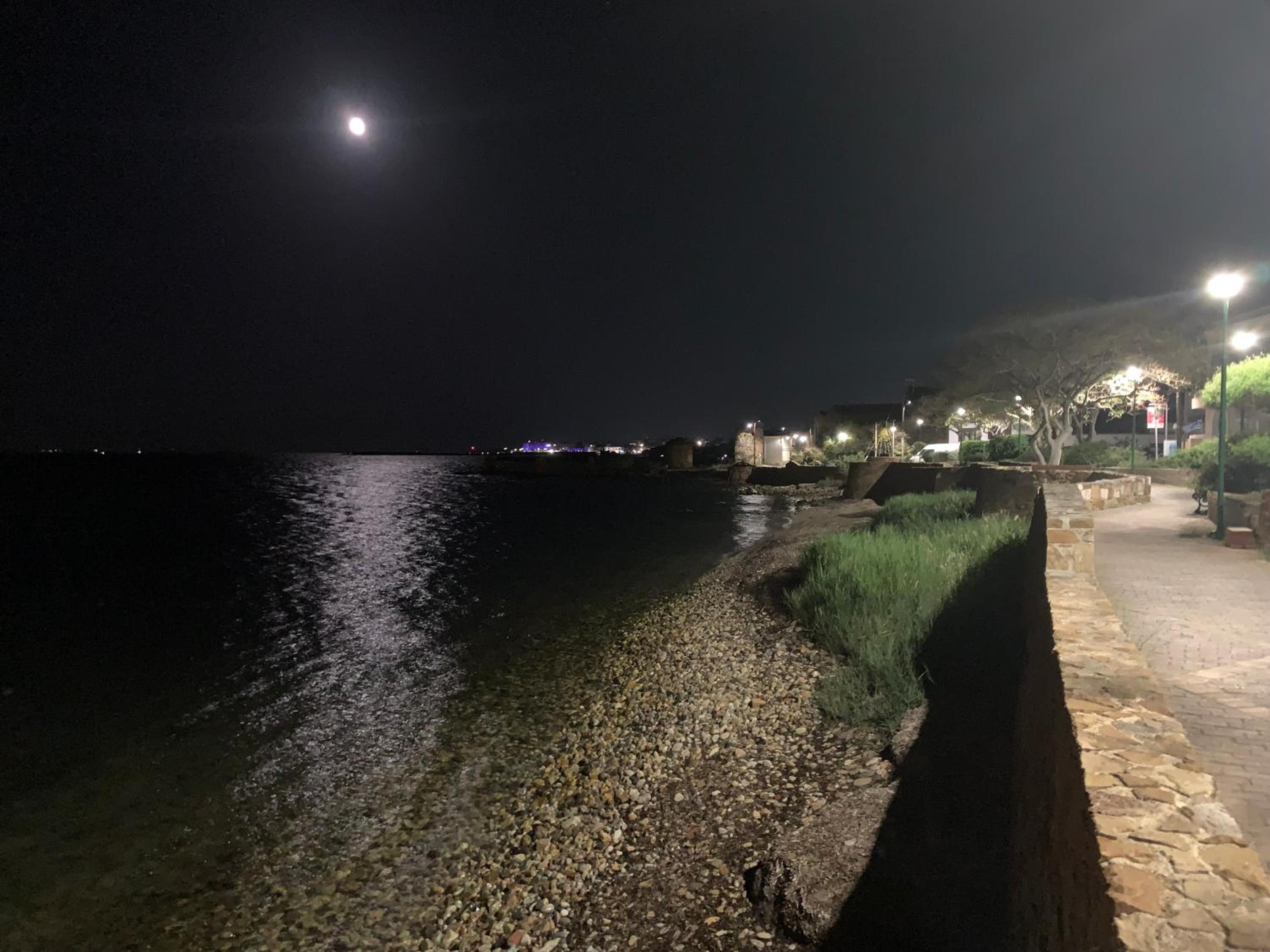 Mylarakia
