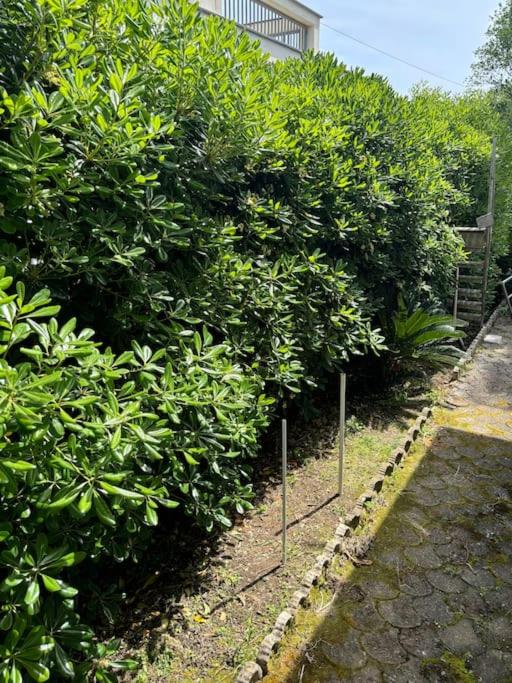 Villetta con Giardino