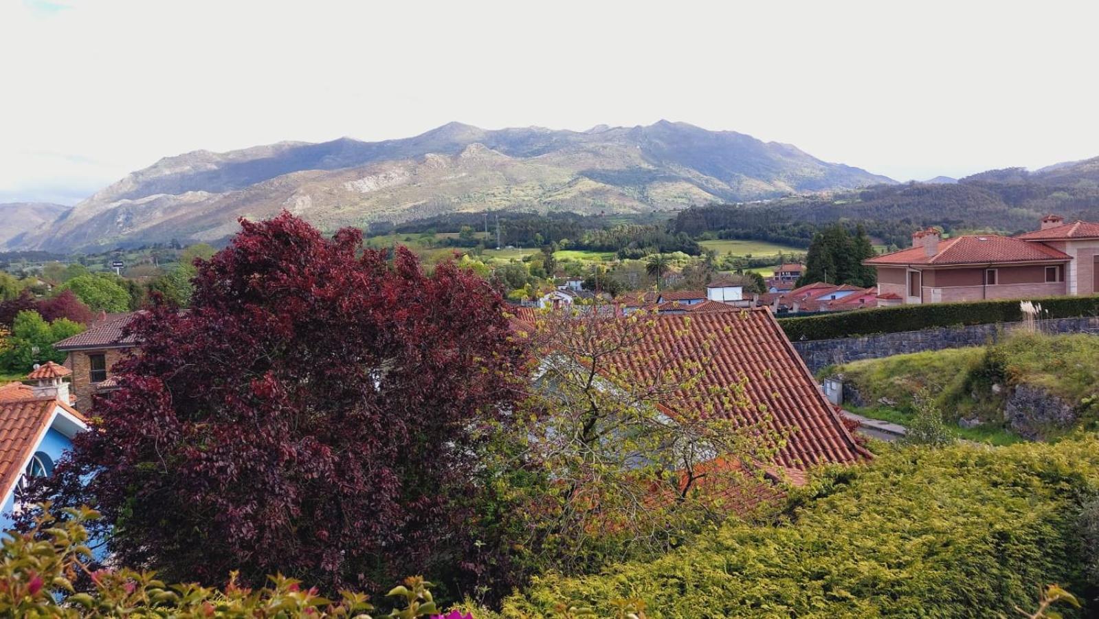 La Cubillana
