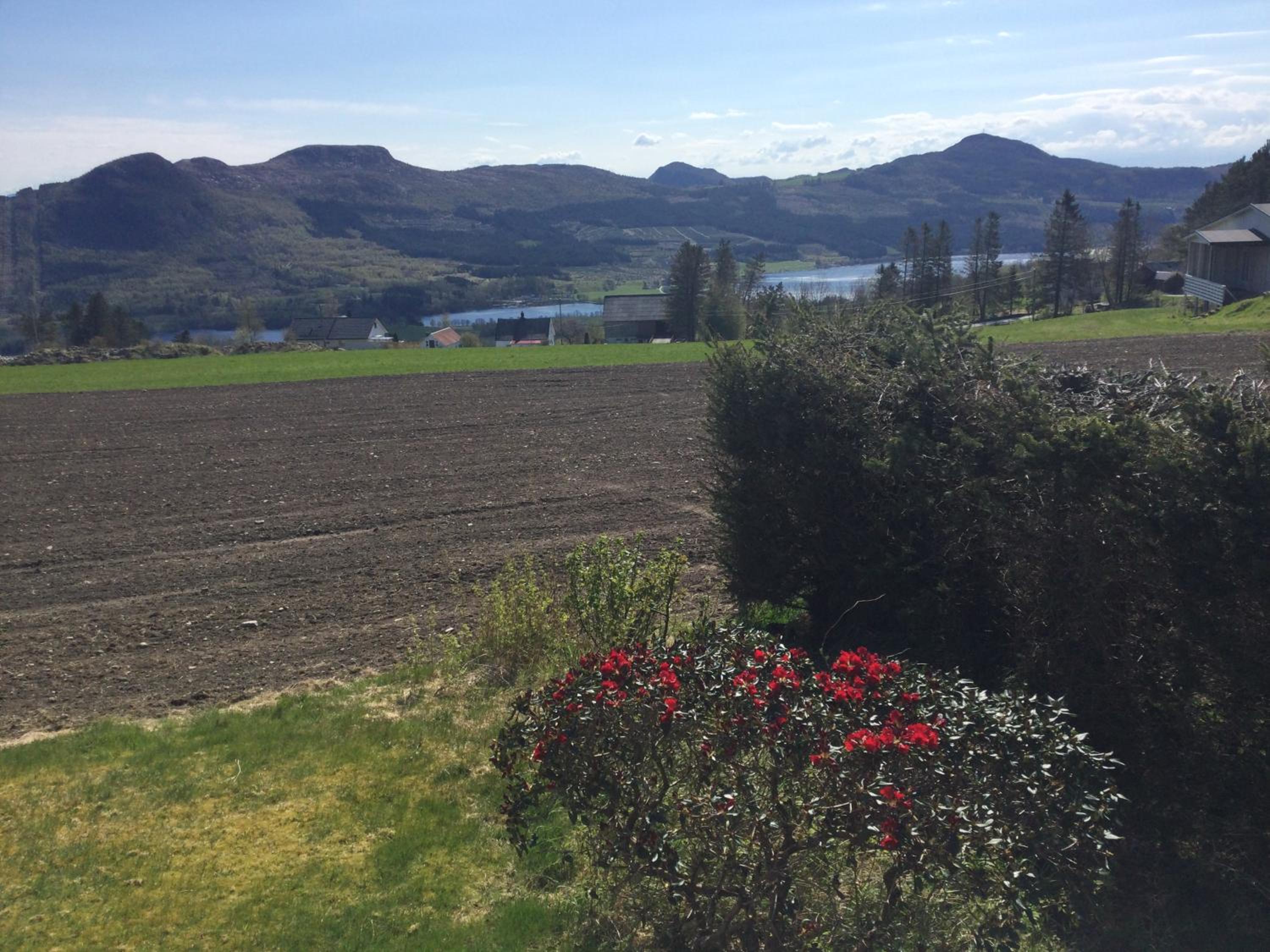 Ryfylke Garden Holta
