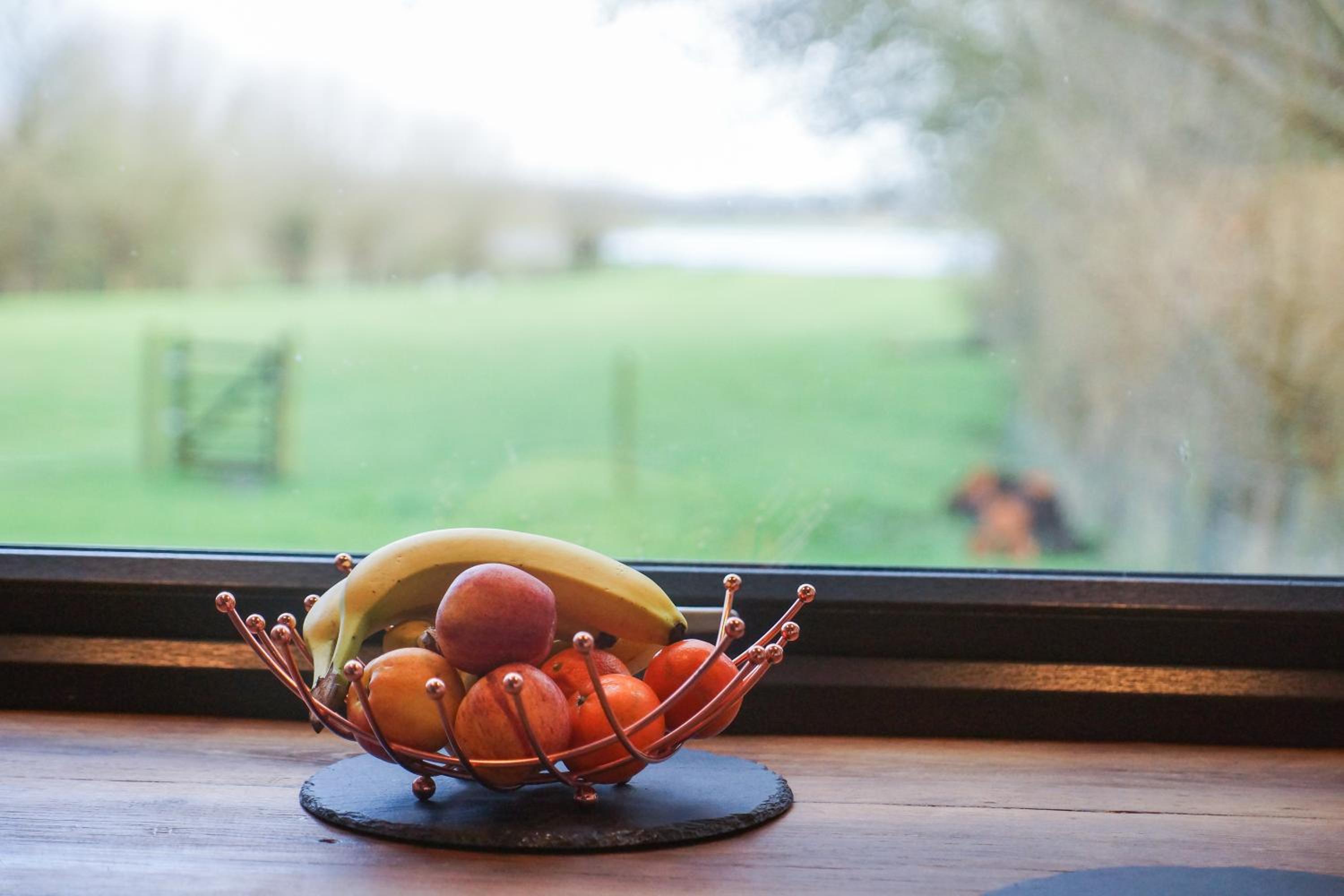 Conkers - a new bespoke rural escape near Glastonbury