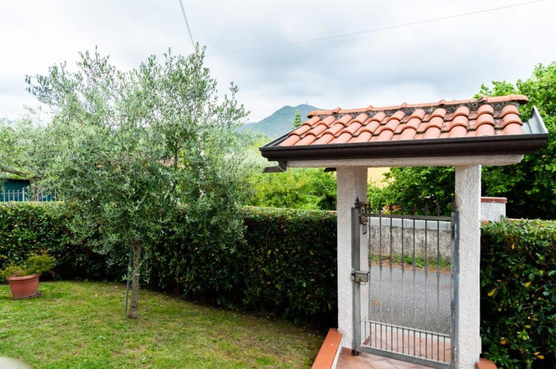 B&B Il Girasole, photo 11