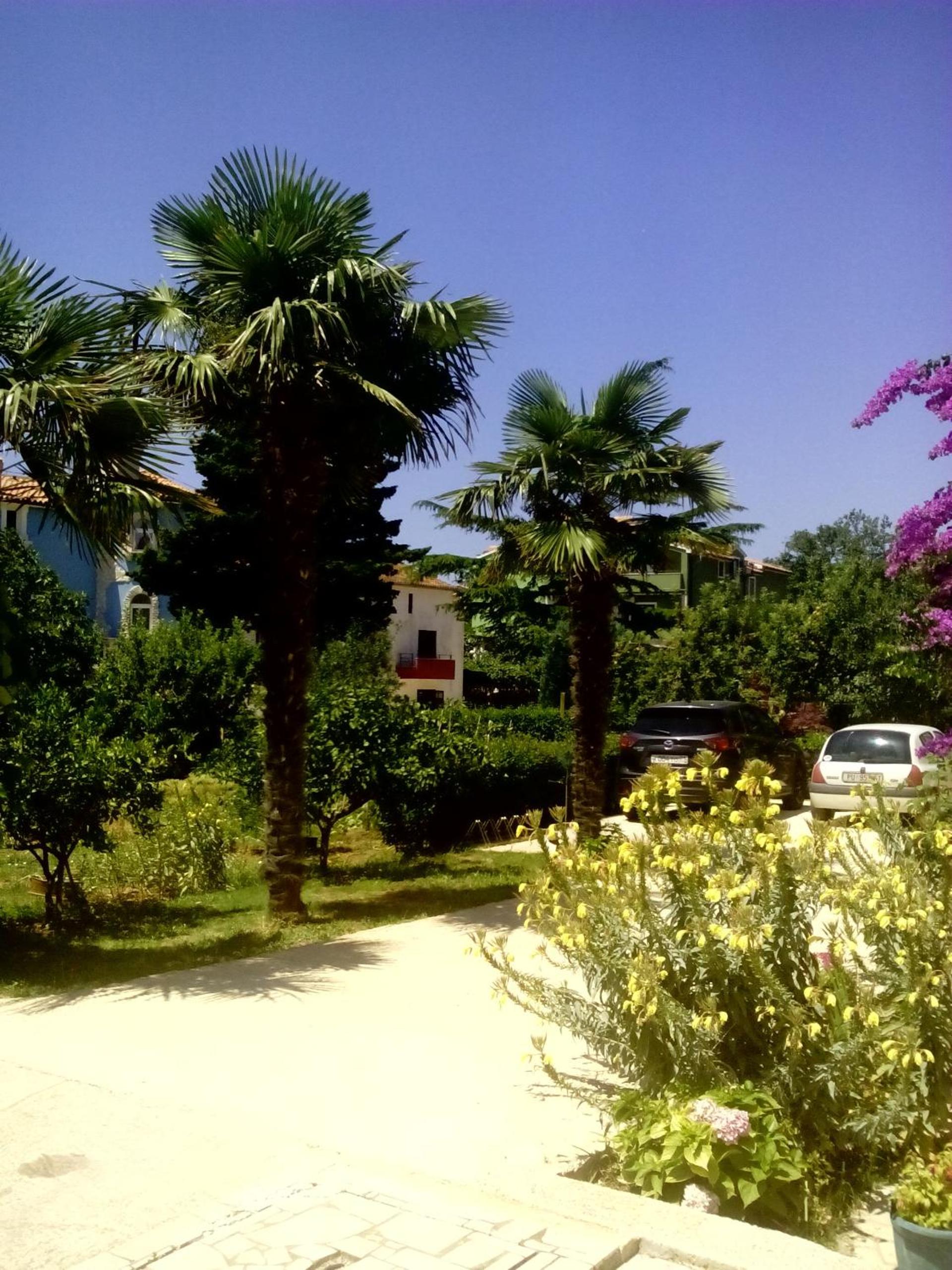 Apartments Zova