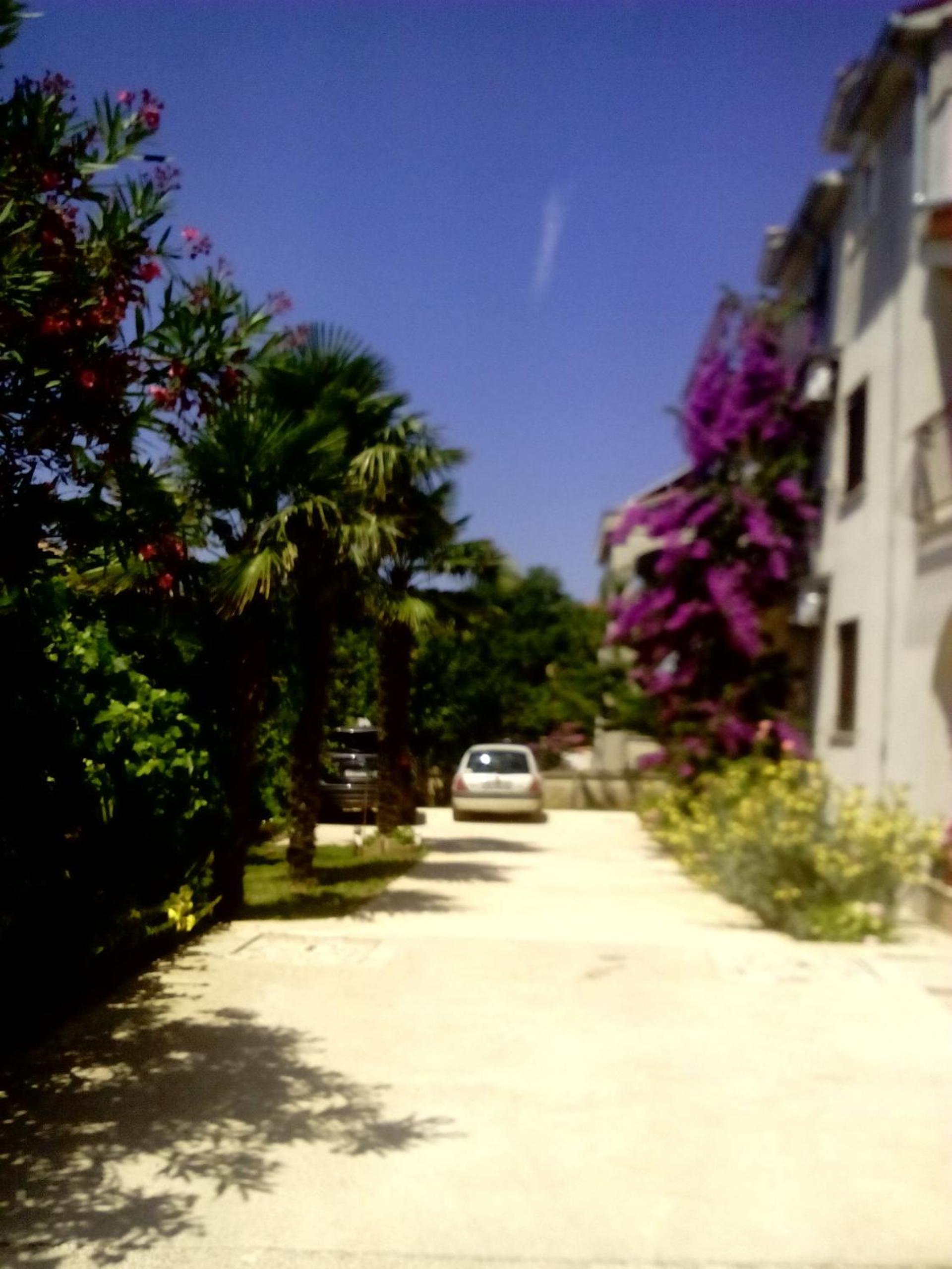 Apartments Zova