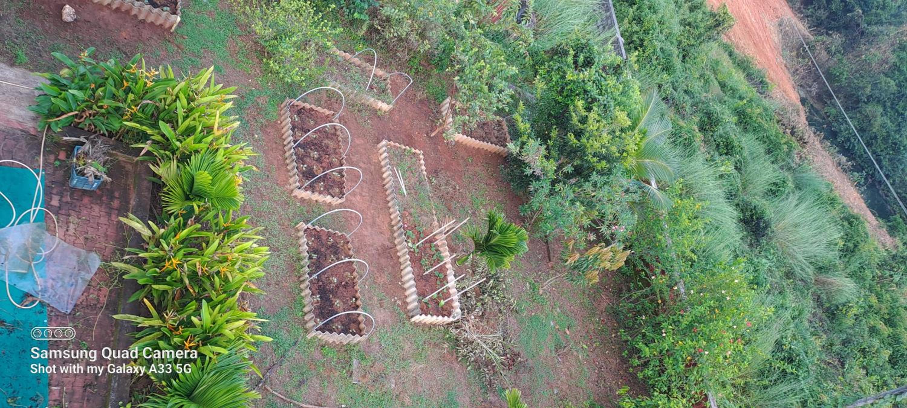 Shree Homestay view 5