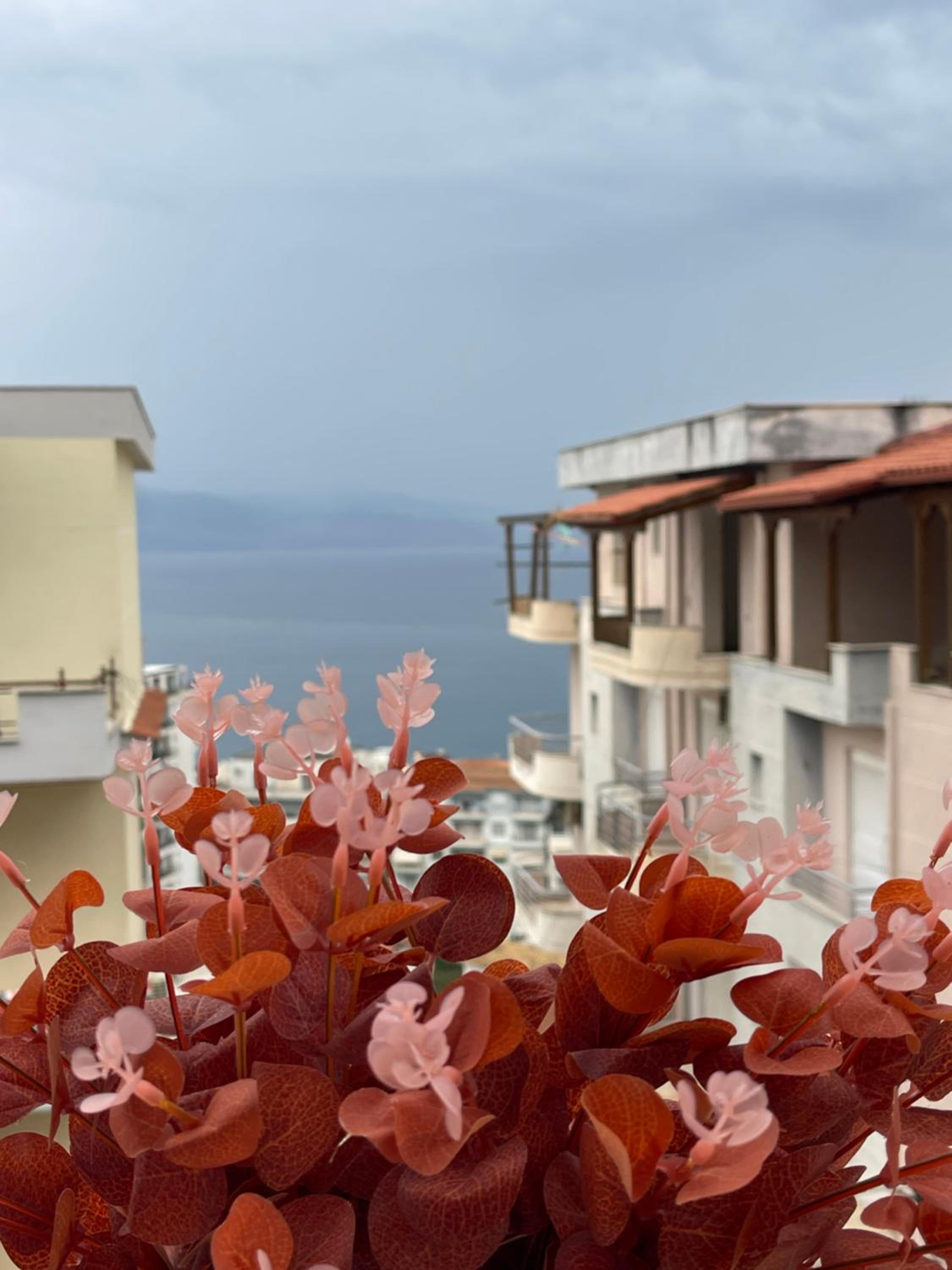 Patrisia apartment