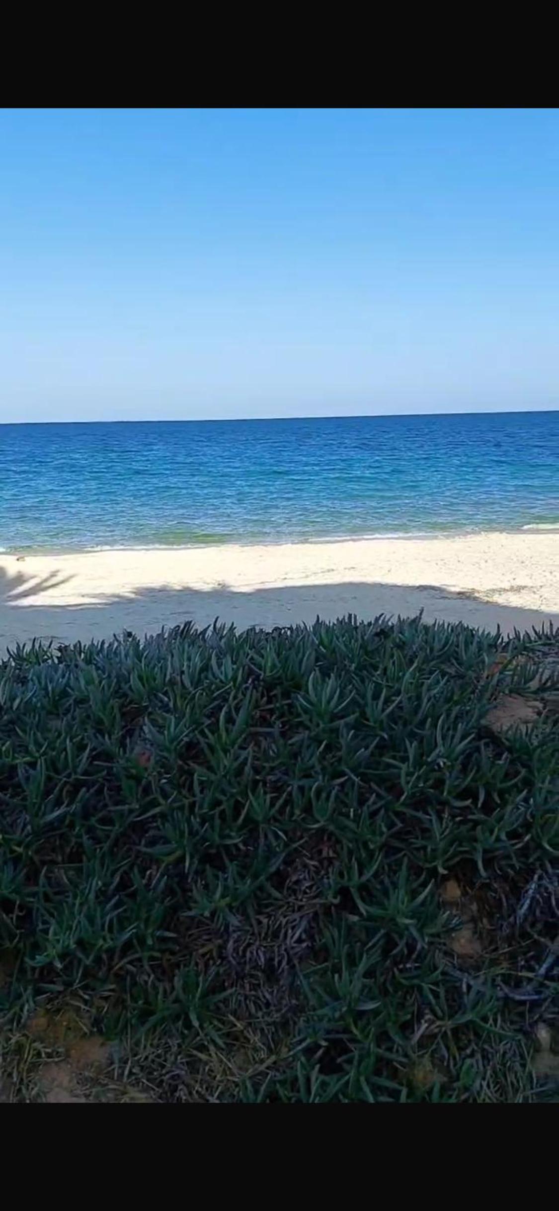 Seafront apartments chatte mariem sousse