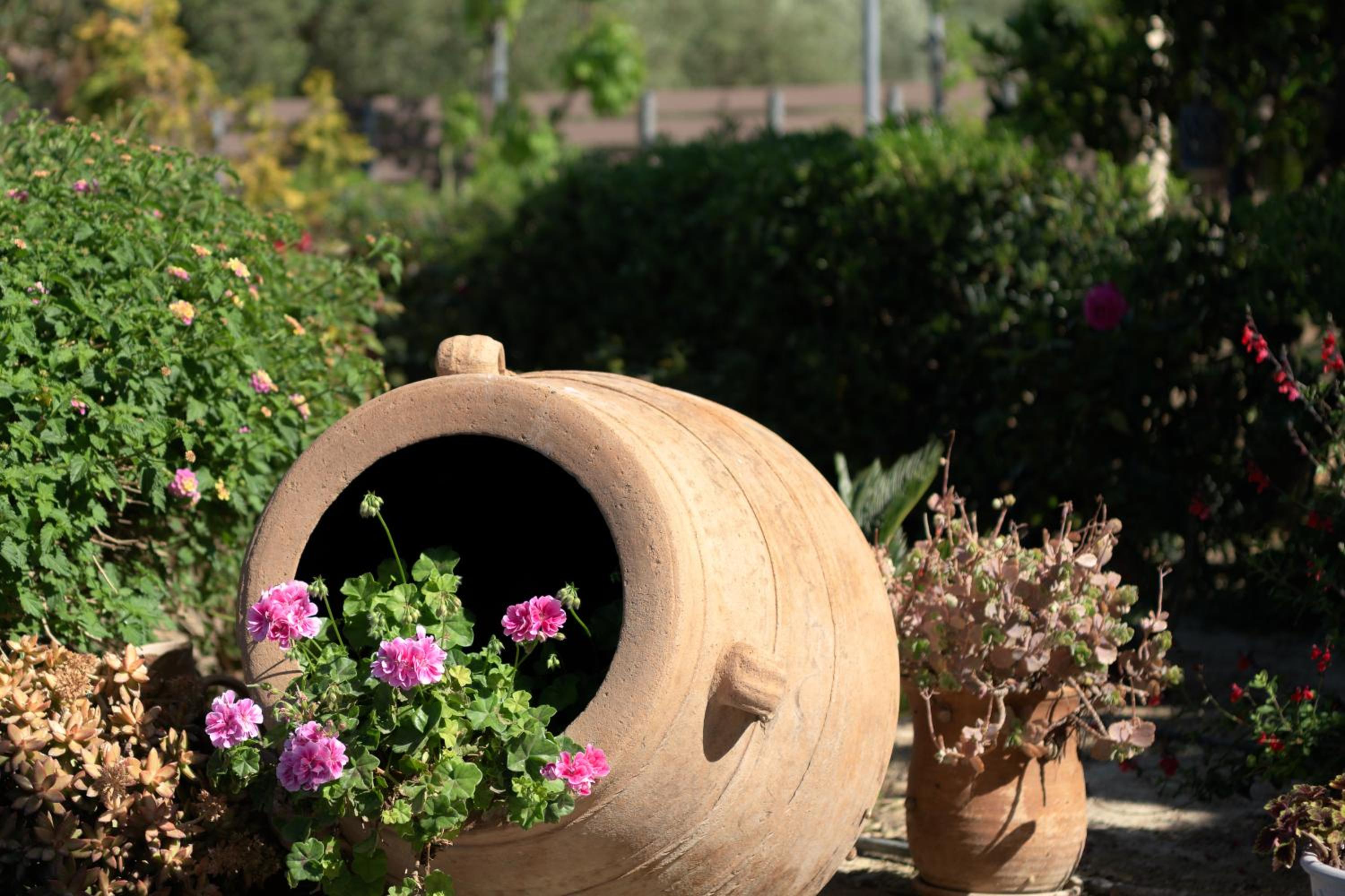 Perivoli SeaView Cottage, a Rural Bliss of Nature, By ThinkVilla photo 2